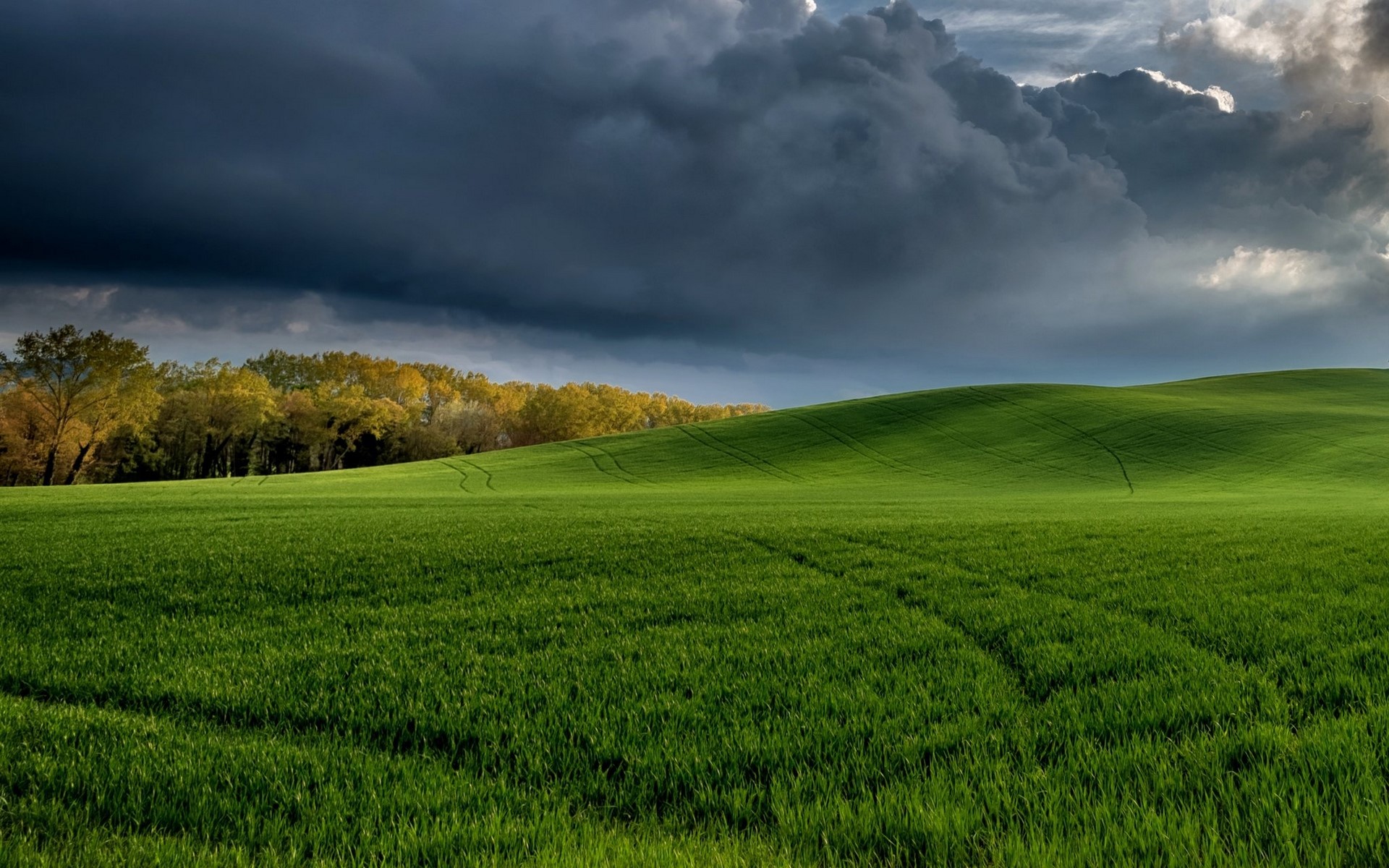 nature, landscape, grass, clouds, sky, field, HD Wallpaper
