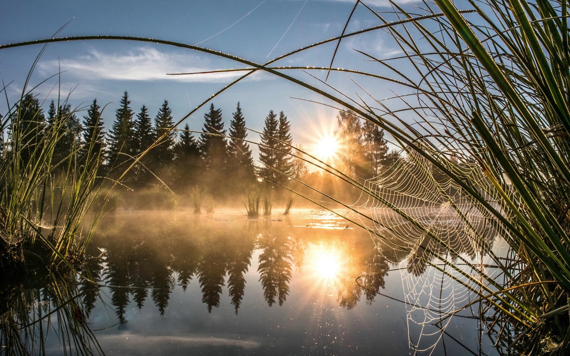 landscape, lake, nature, water, spiderwebs, sunlight, reflection, outdoors, HD Wallpaper