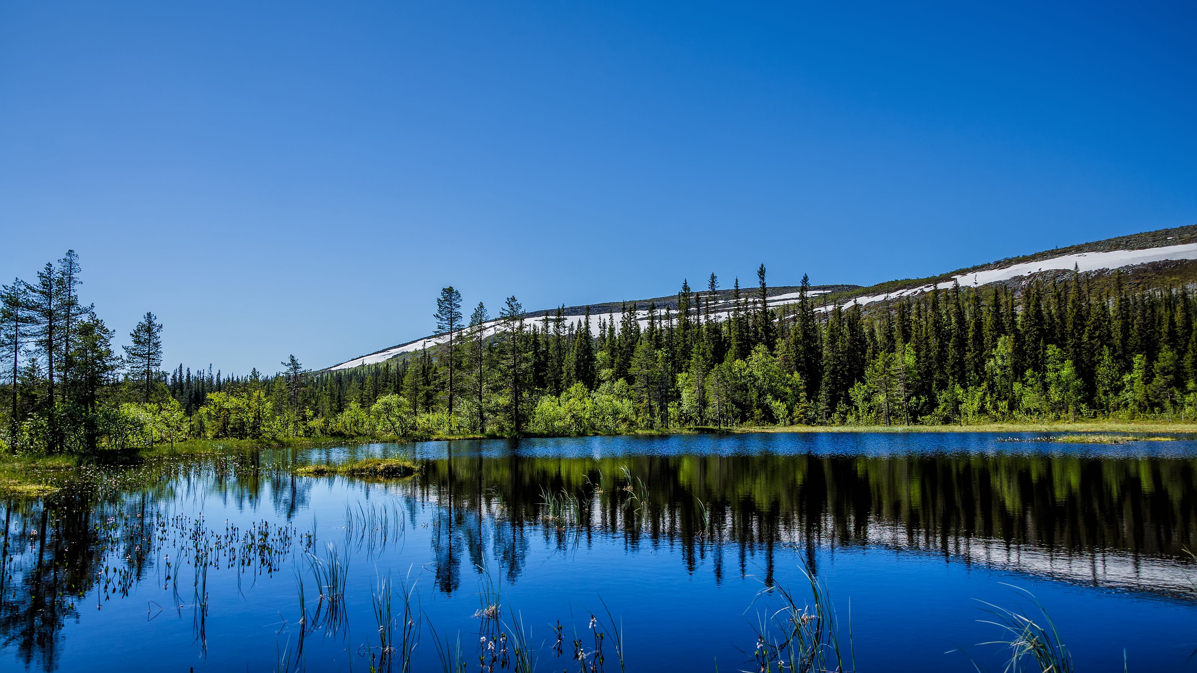 hill, trees, reflection, 4k, HD Wallpaper
