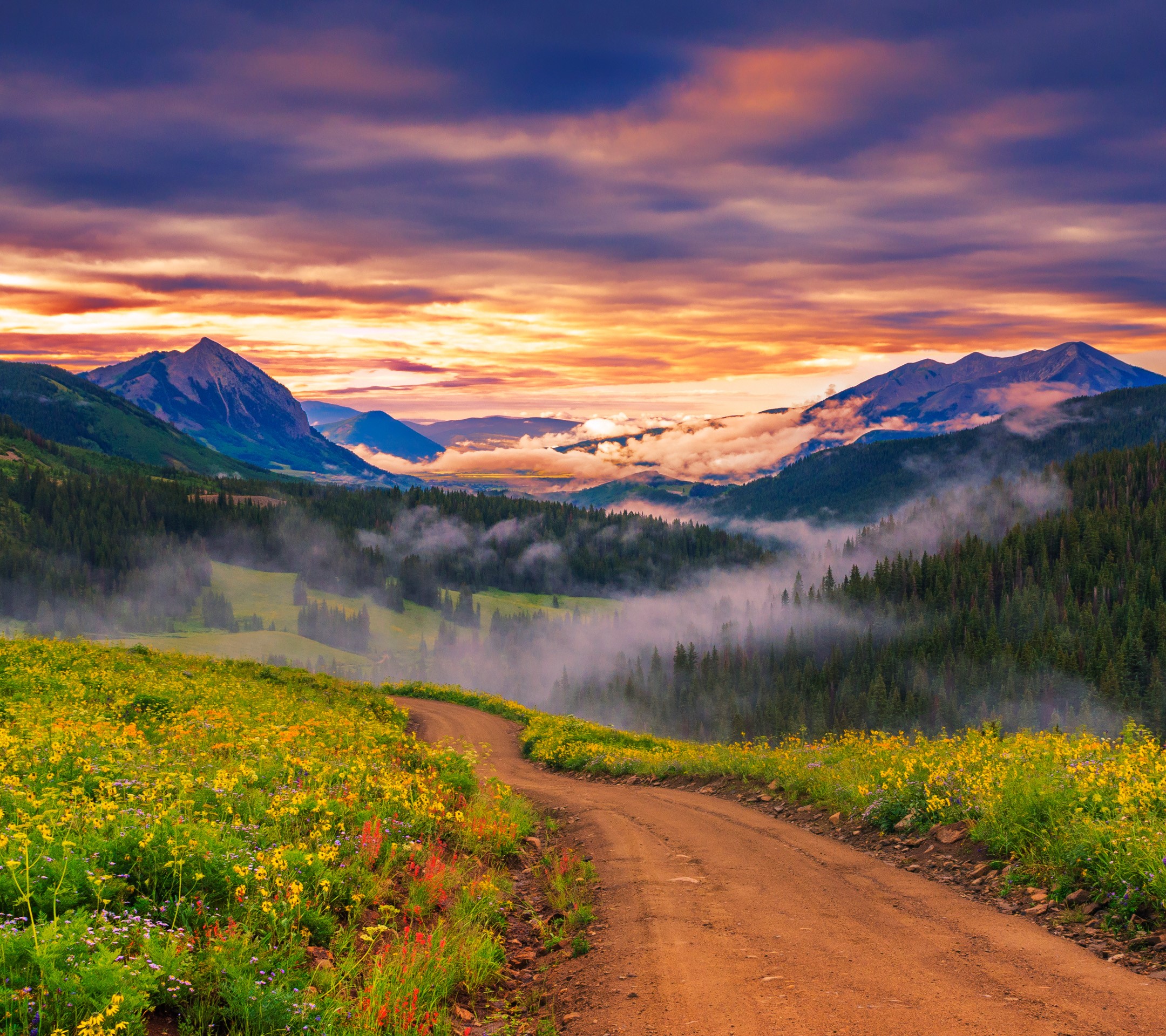 nature, mountains, sky, landscape, plants, HD Wallpaper