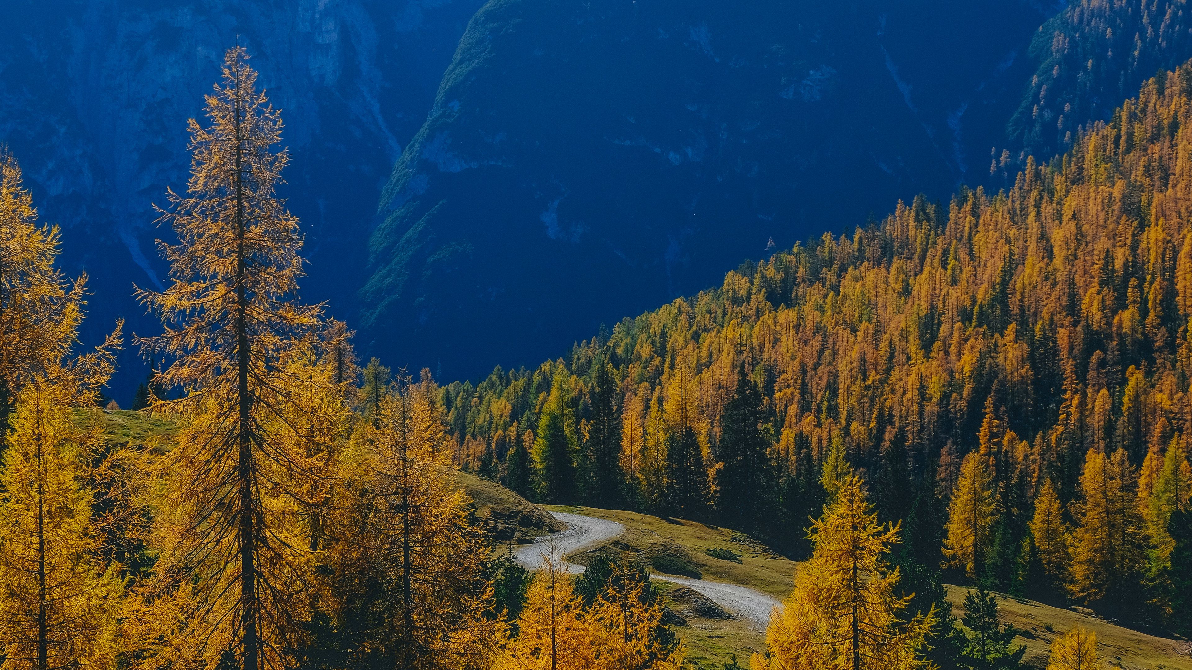 mountains, trees, fog, autumn, path, 4k, HD Wallpaper