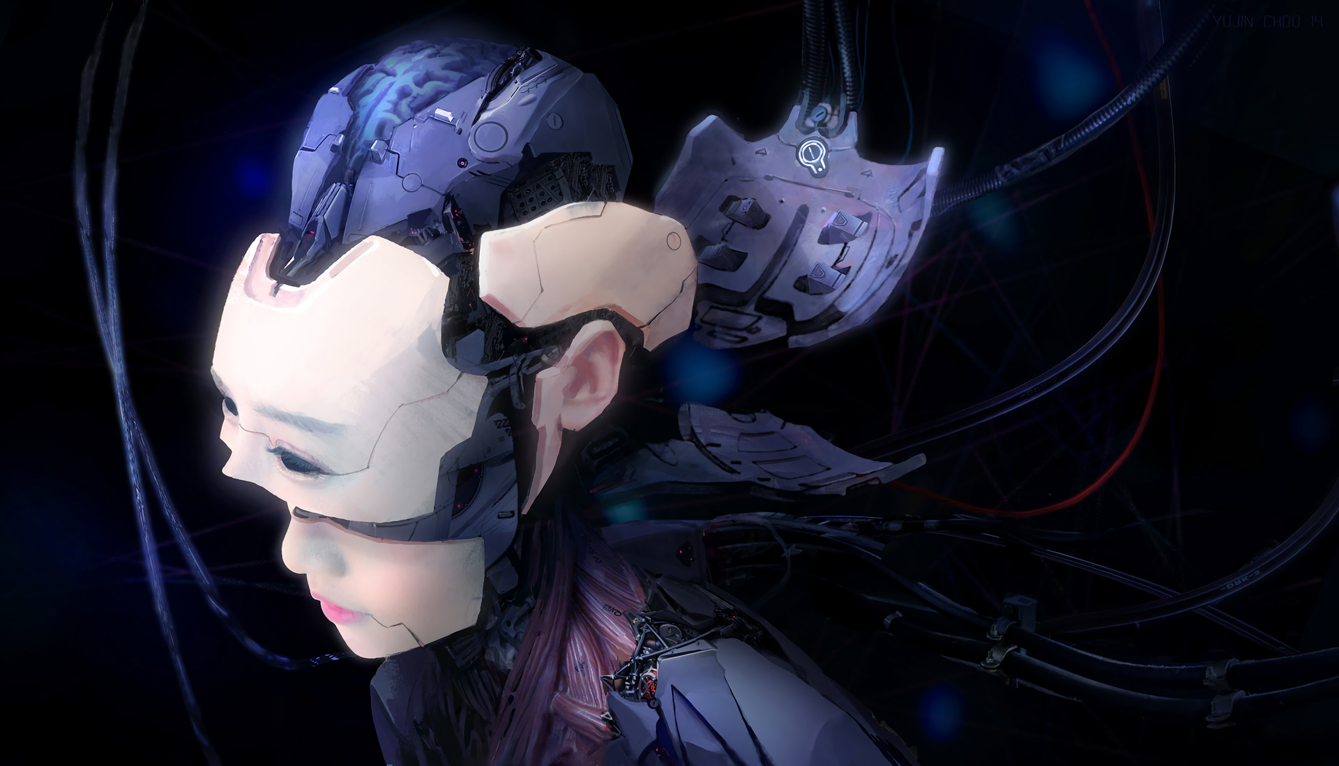 Ghost in the Shell, fan art, digital art, artwork, cyberpunk, cyborg, anime, wires, muscles, face, brain, HD Wallpaper
