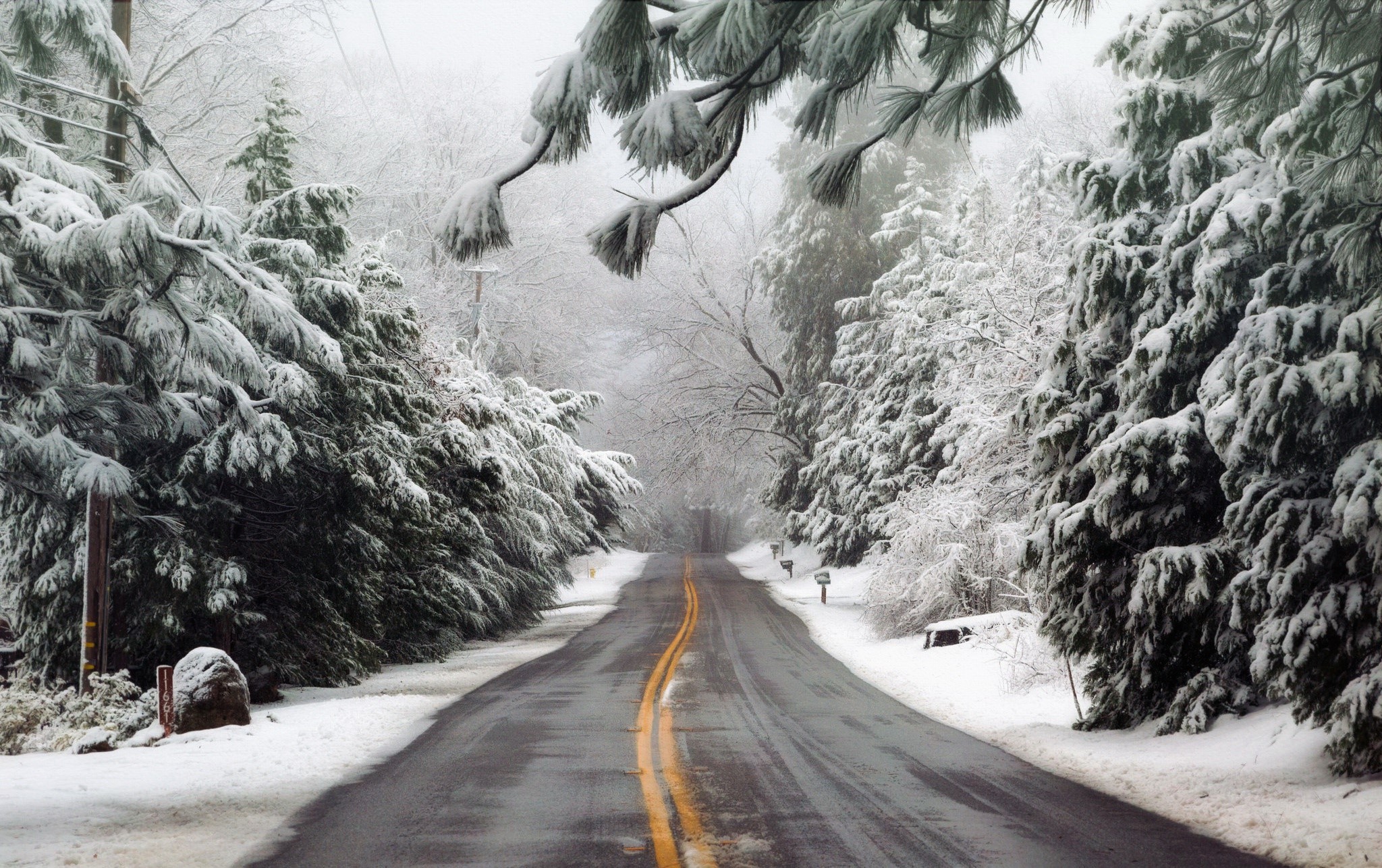 road, winter, asphalt, trees, outdoors, snow, mist, HD Wallpaper