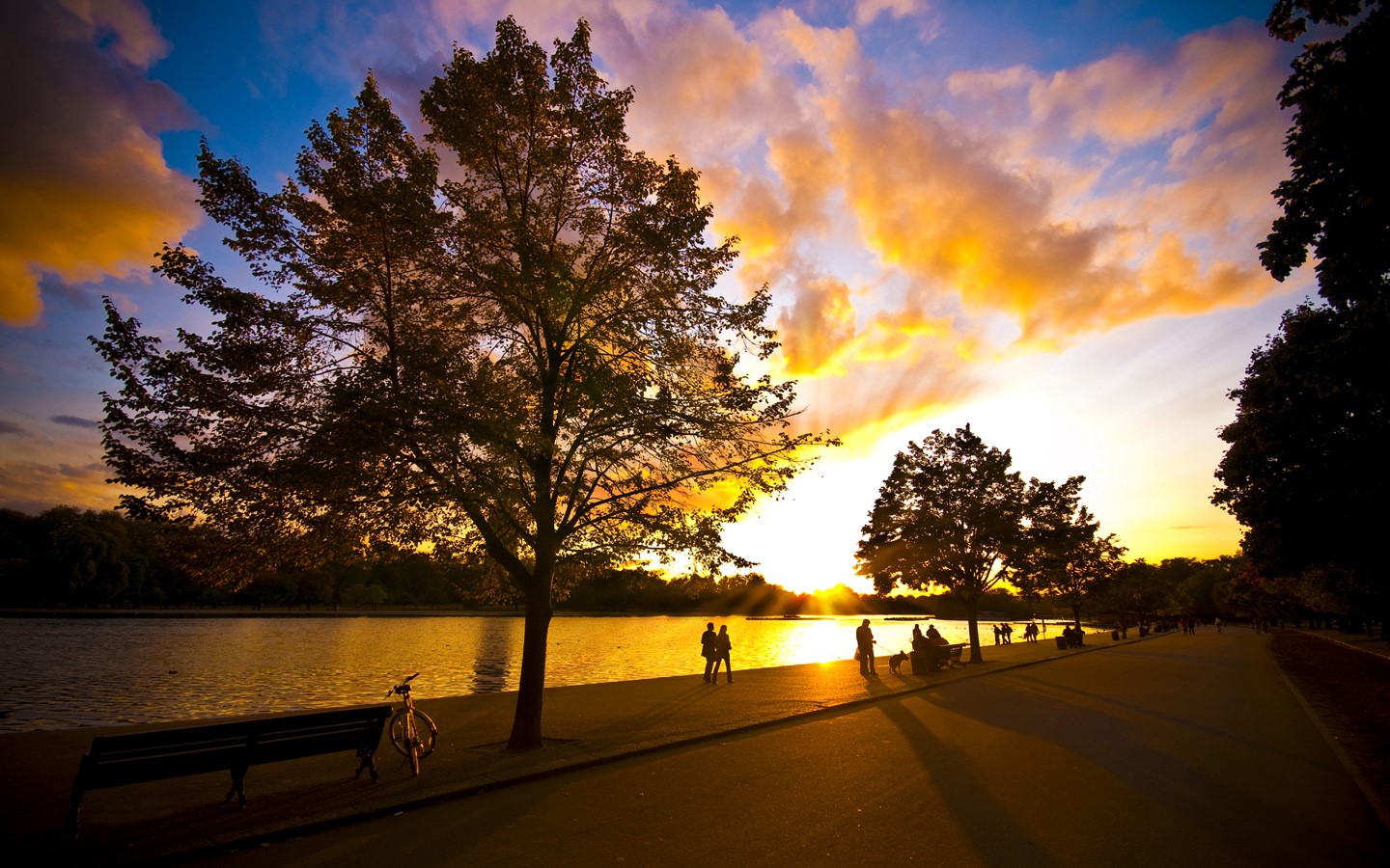 sunset, walking, sky, sunlight, outdoors, HD Wallpaper