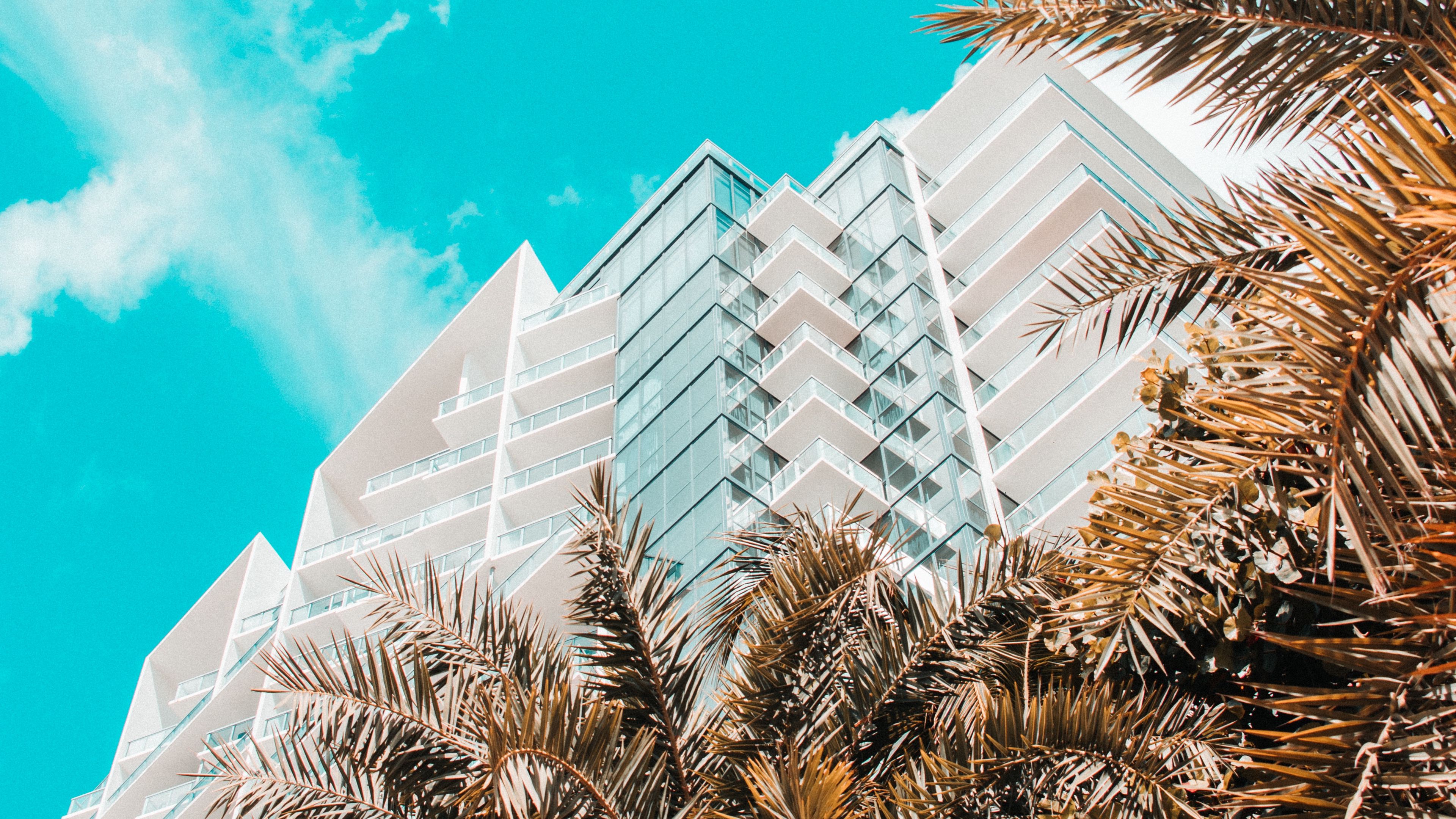 palm trees, building, tropics, sky, bottom view, 4k, HD Wallpaper