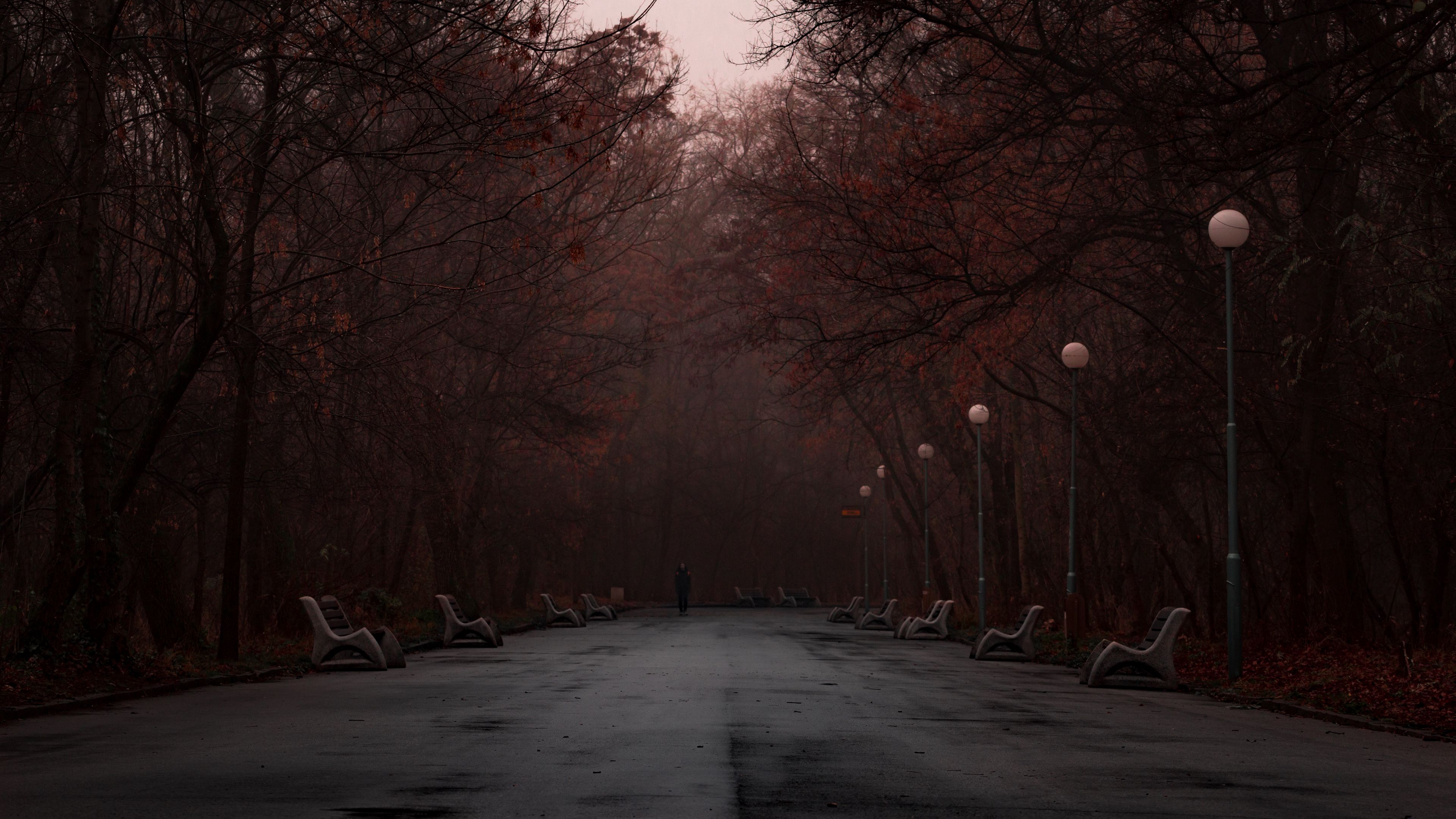 park, fog, silhouette, trees, 4k, HD Wallpaper