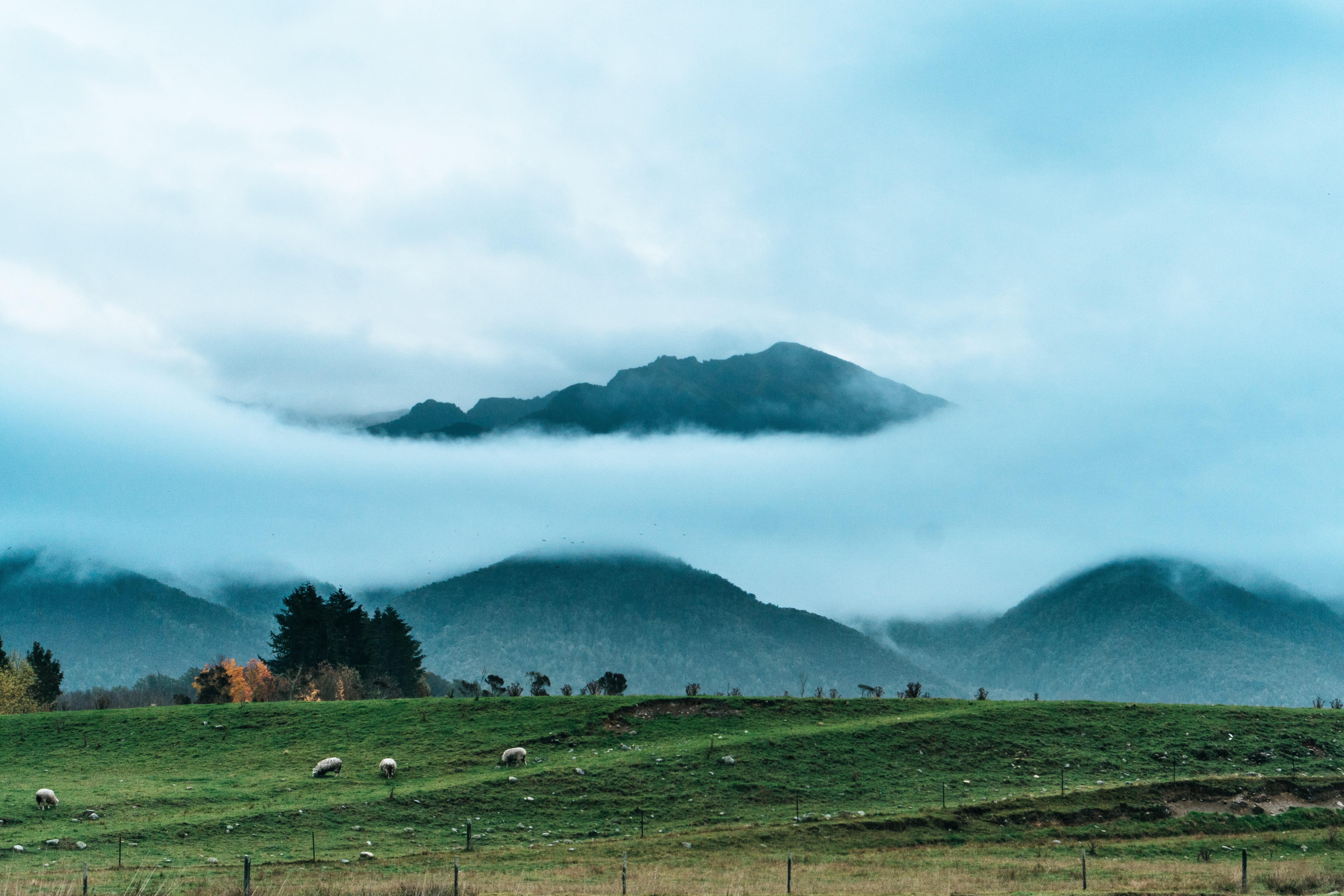 landscape, fall, nature, hill, mountains, mist, field, sheep, far view, HD Wallpaper