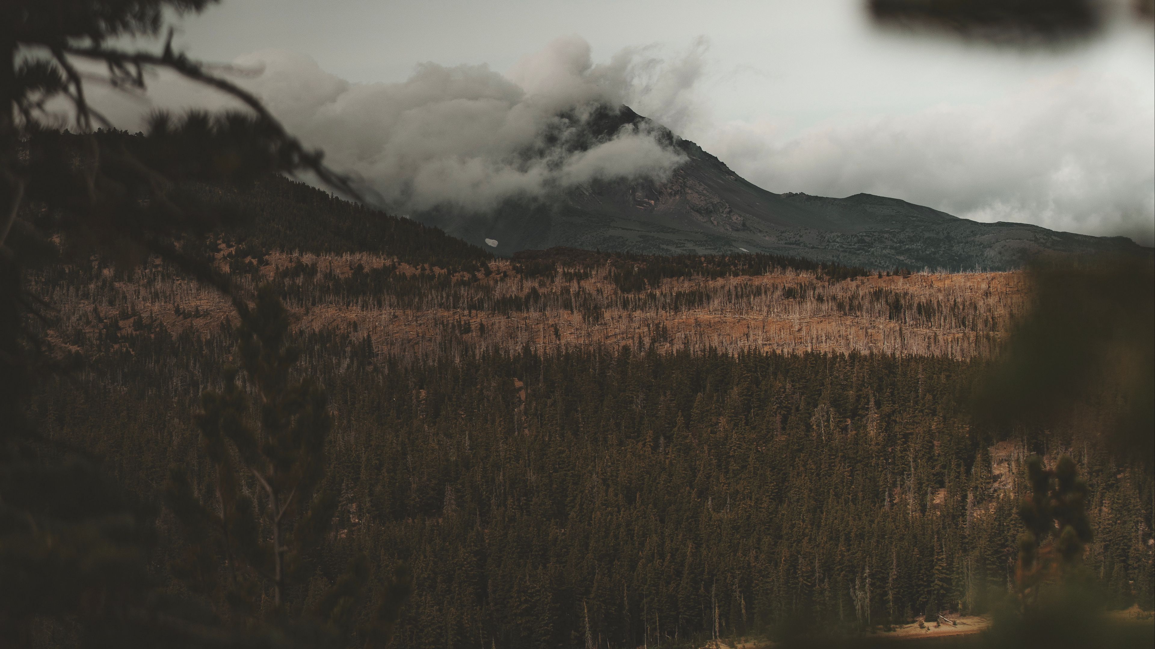 lake, mountain, fog, branches, aerial view, clouds, 4k, HD Wallpaper