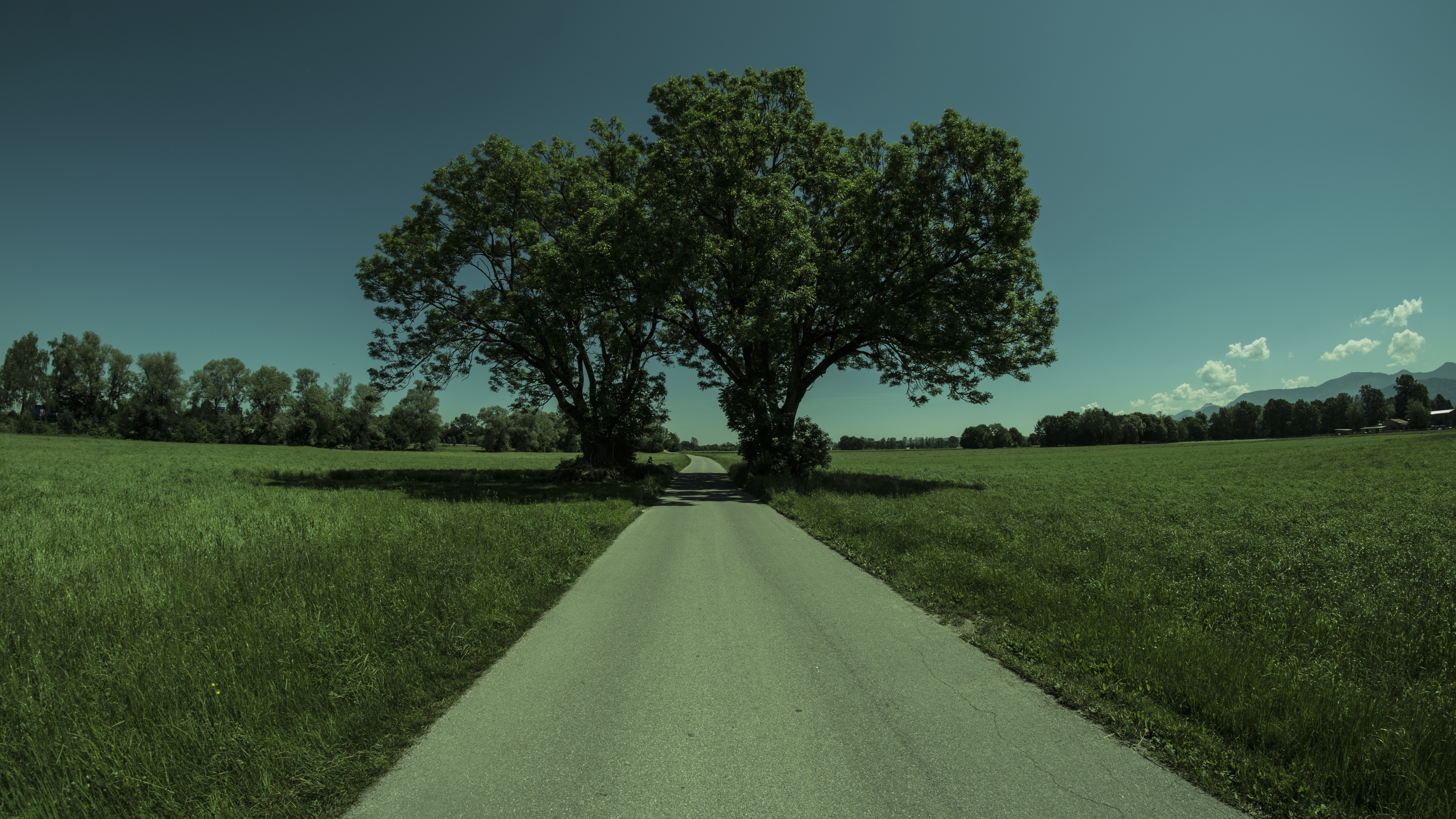 nature, road, trees, sky, clear sky, clouds, grass, HD Wallpaper