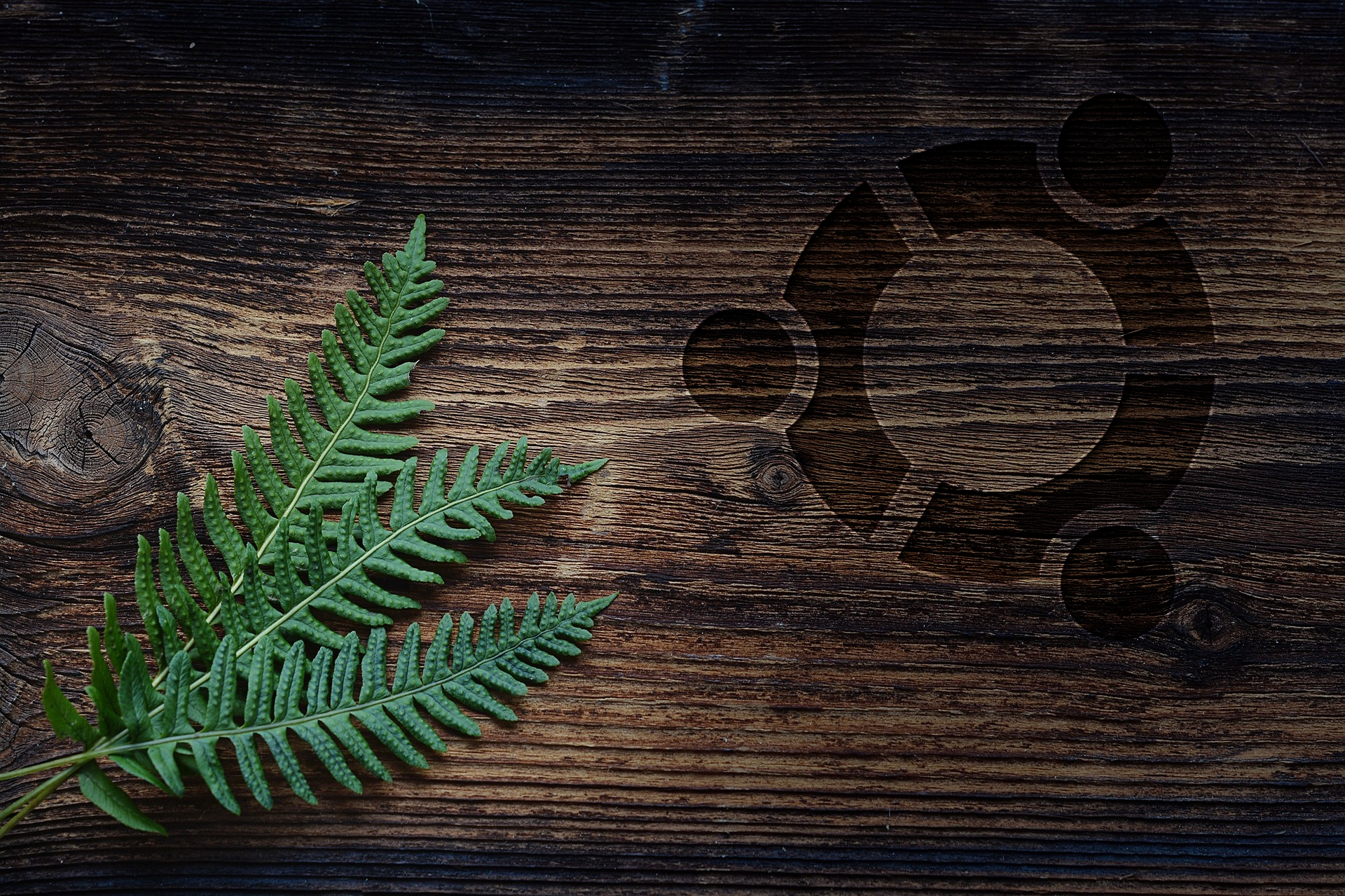 Ubuntu, wood, leaves, table, nature, Linux, HD Wallpaper