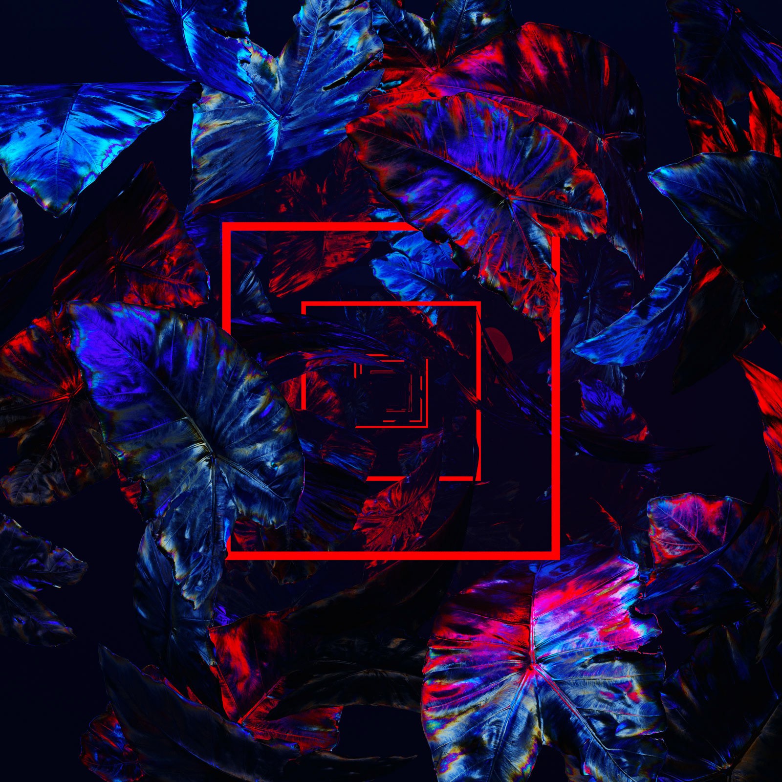 abstract, square, plants, leaves, digital art, HD Wallpaper