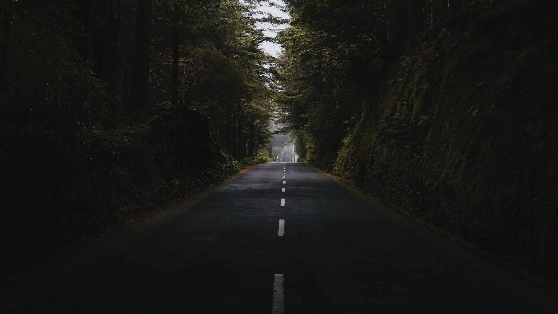 landscape, nature, road, trees, forest, HD Wallpaper