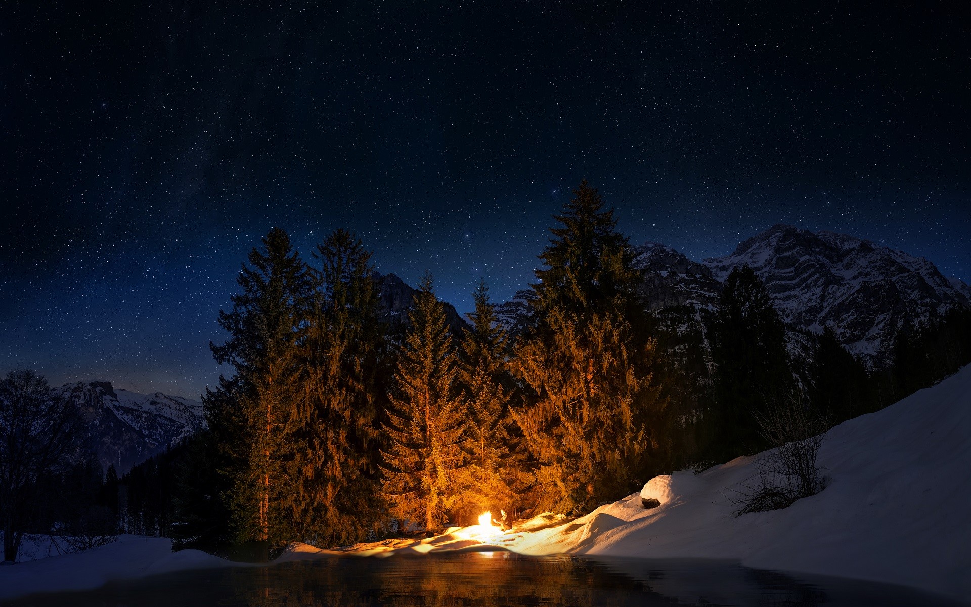 nature, forest, trees, stars, sky, snow, winter, campfire, HD Wallpaper