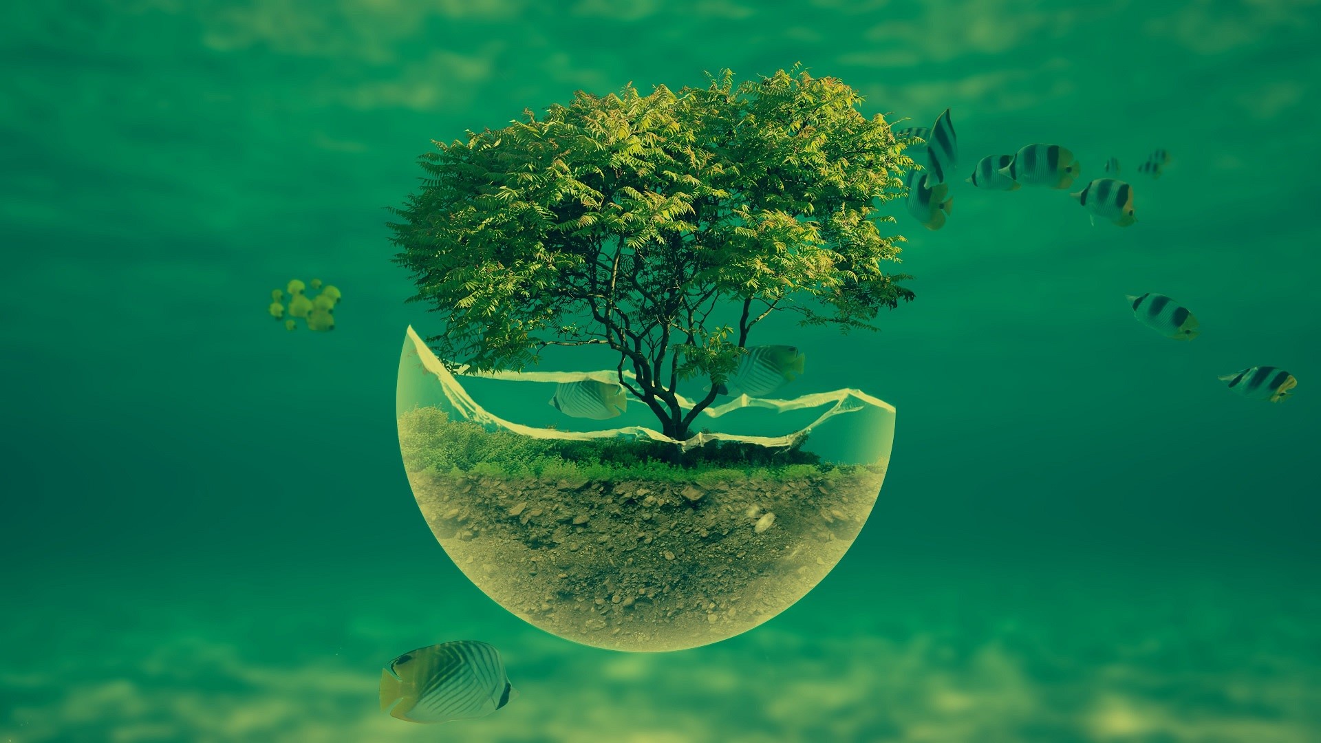 artwork, digital art, abstract, trees, sea, fish, underwater, green, HD Wallpaper