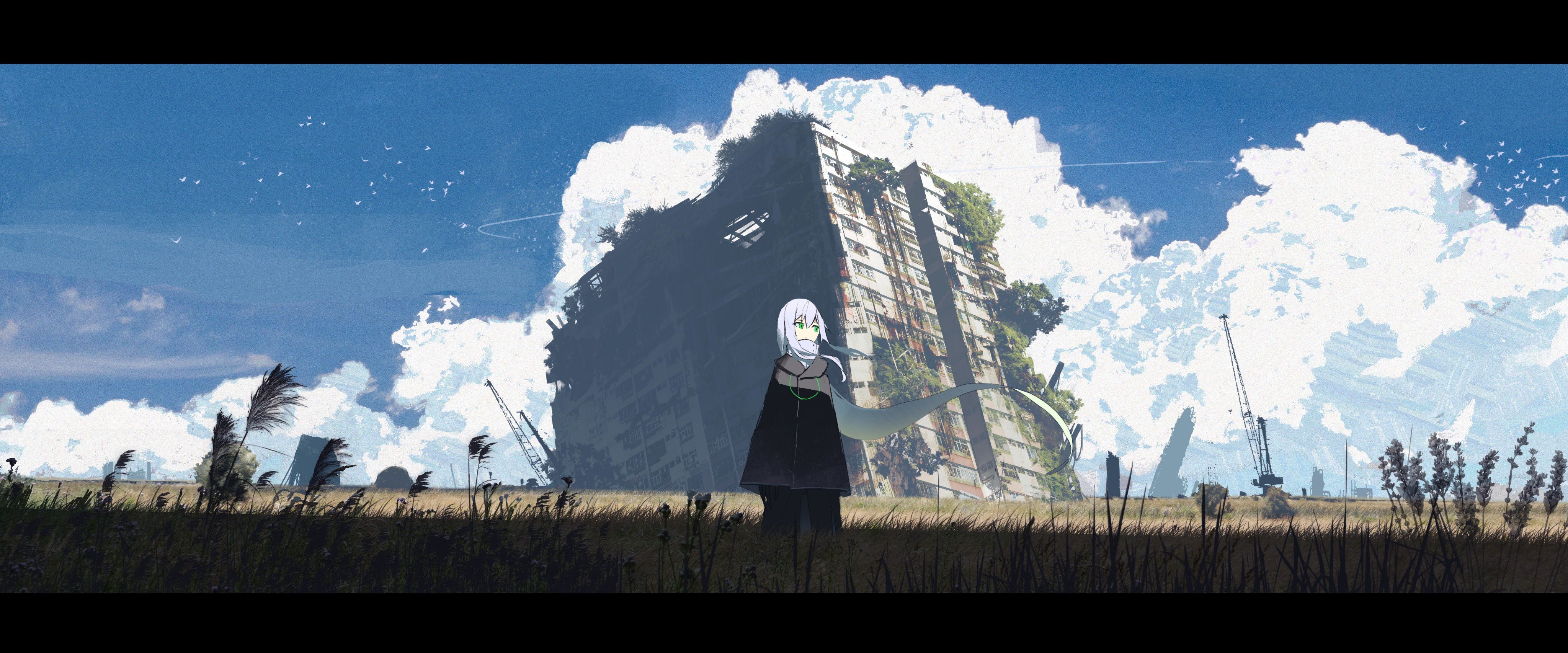overgrown, clouds, field, abandoned, HD Wallpaper