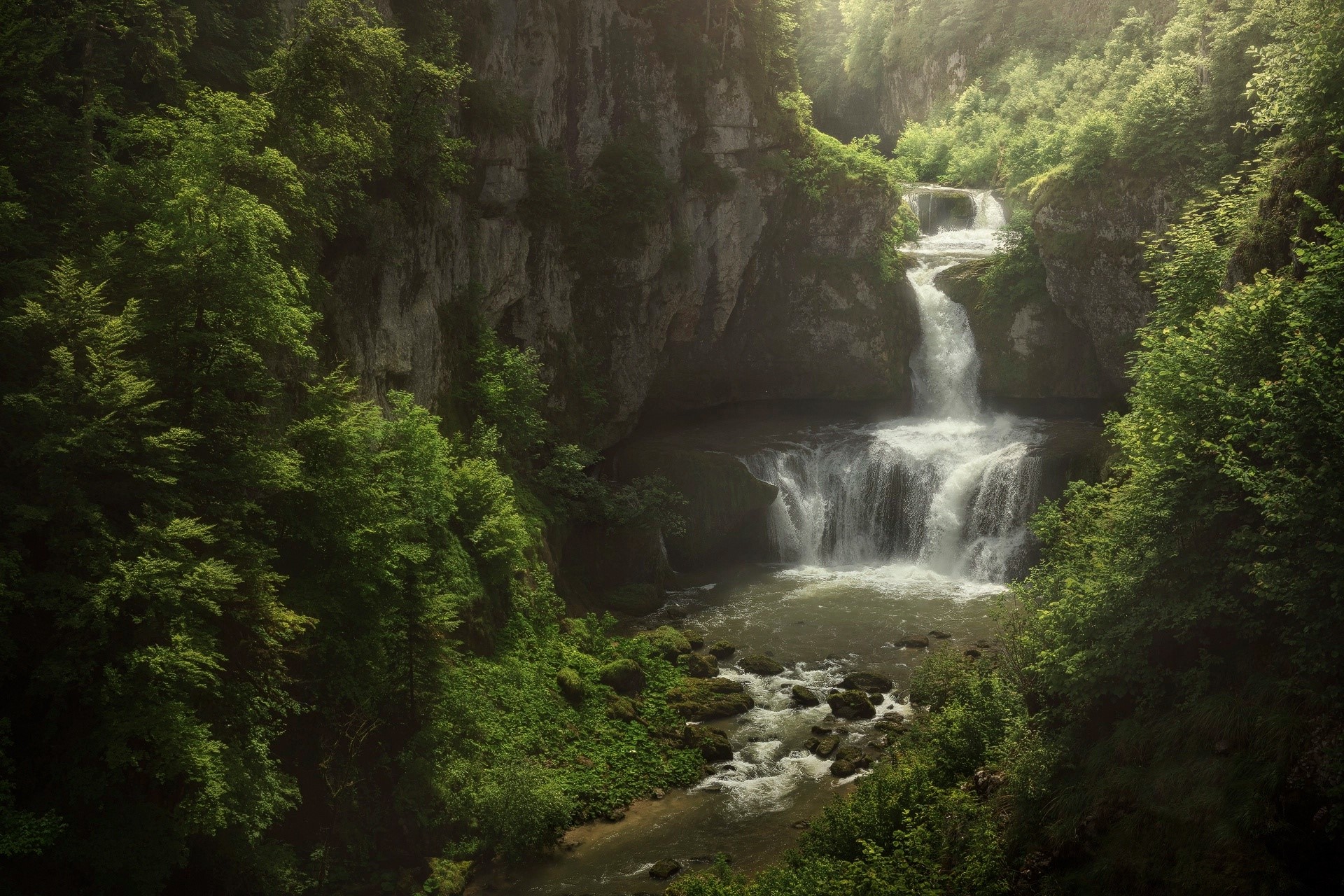 nature, water, plants, outdoors, waterfall, HD Wallpaper