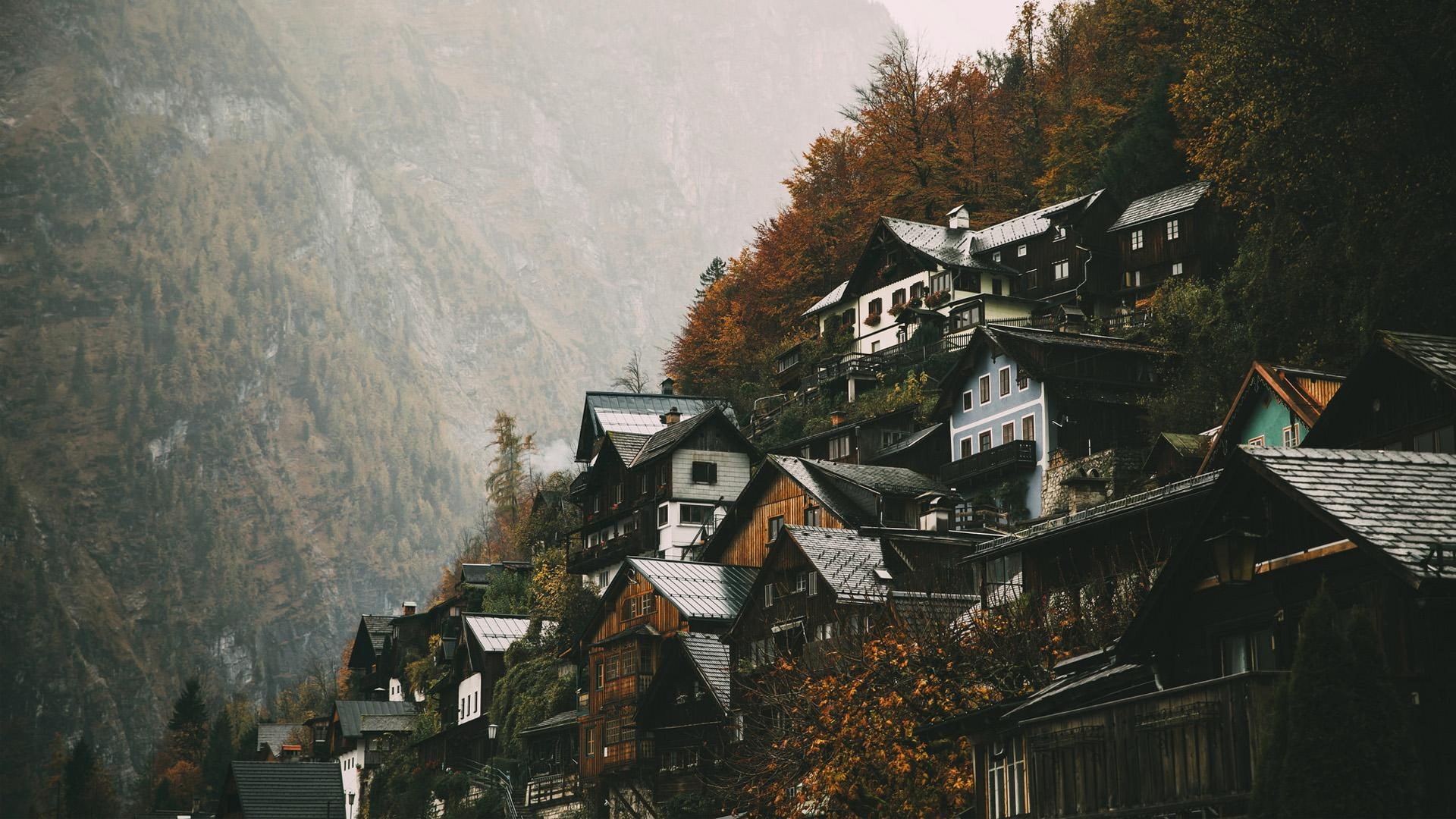 Hallstatt, Austria, nature, town, building, forest, trees, mountains, HD Wallpaper