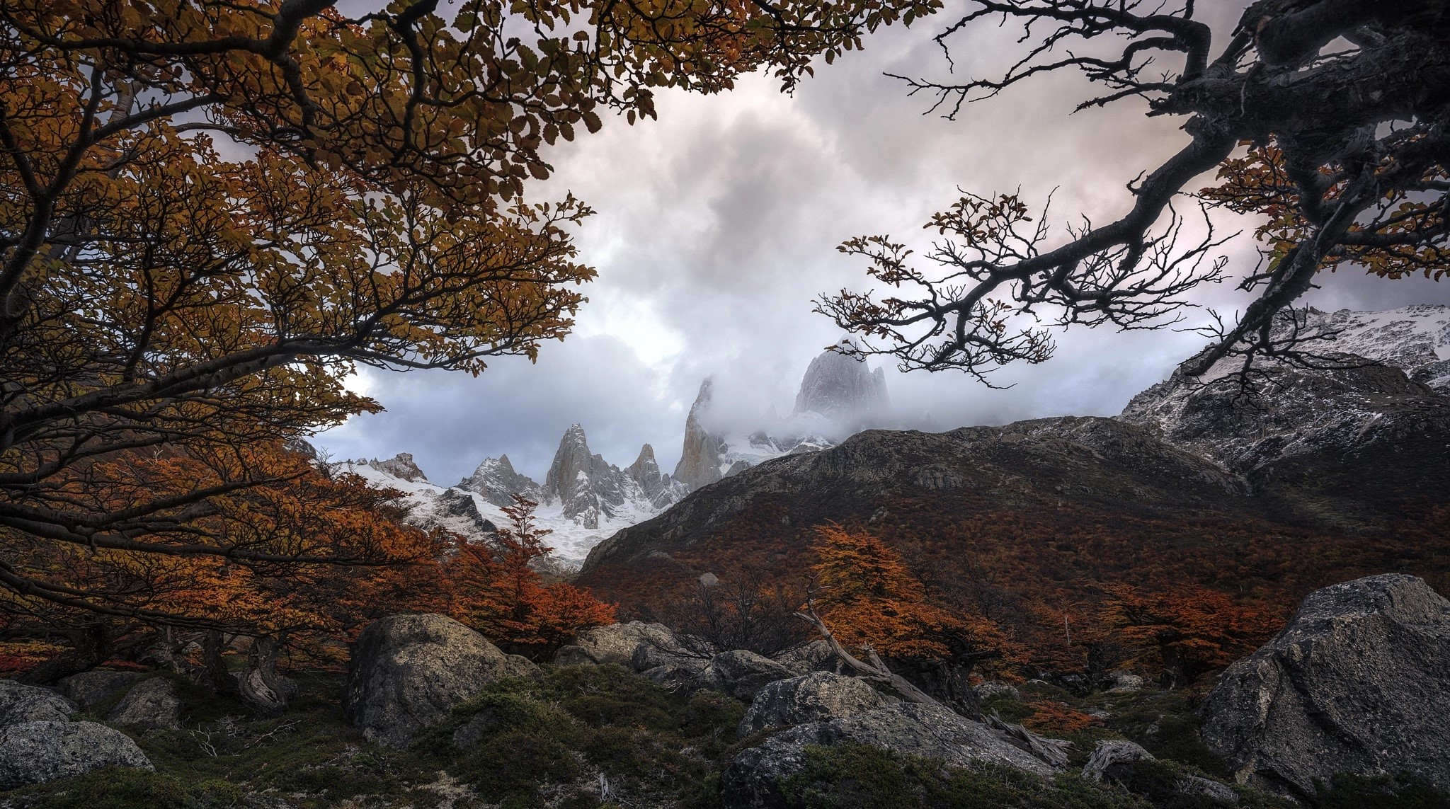 nature, plants, mountains, trees, landscape, fall, HD Wallpaper
