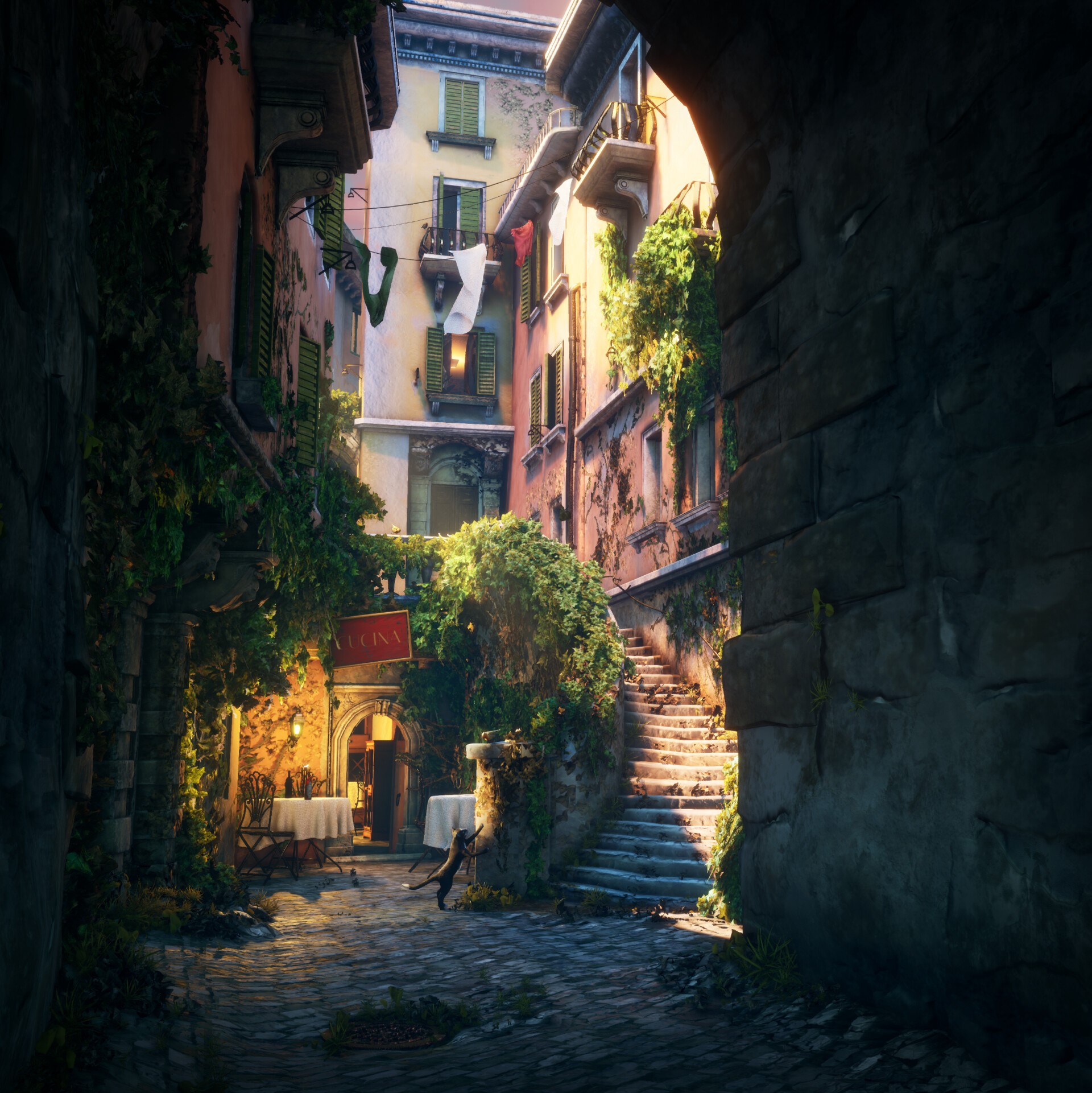 cats, architecture, Italy, street, animals, town, building, artwork, cobblestone, HD Wallpaper