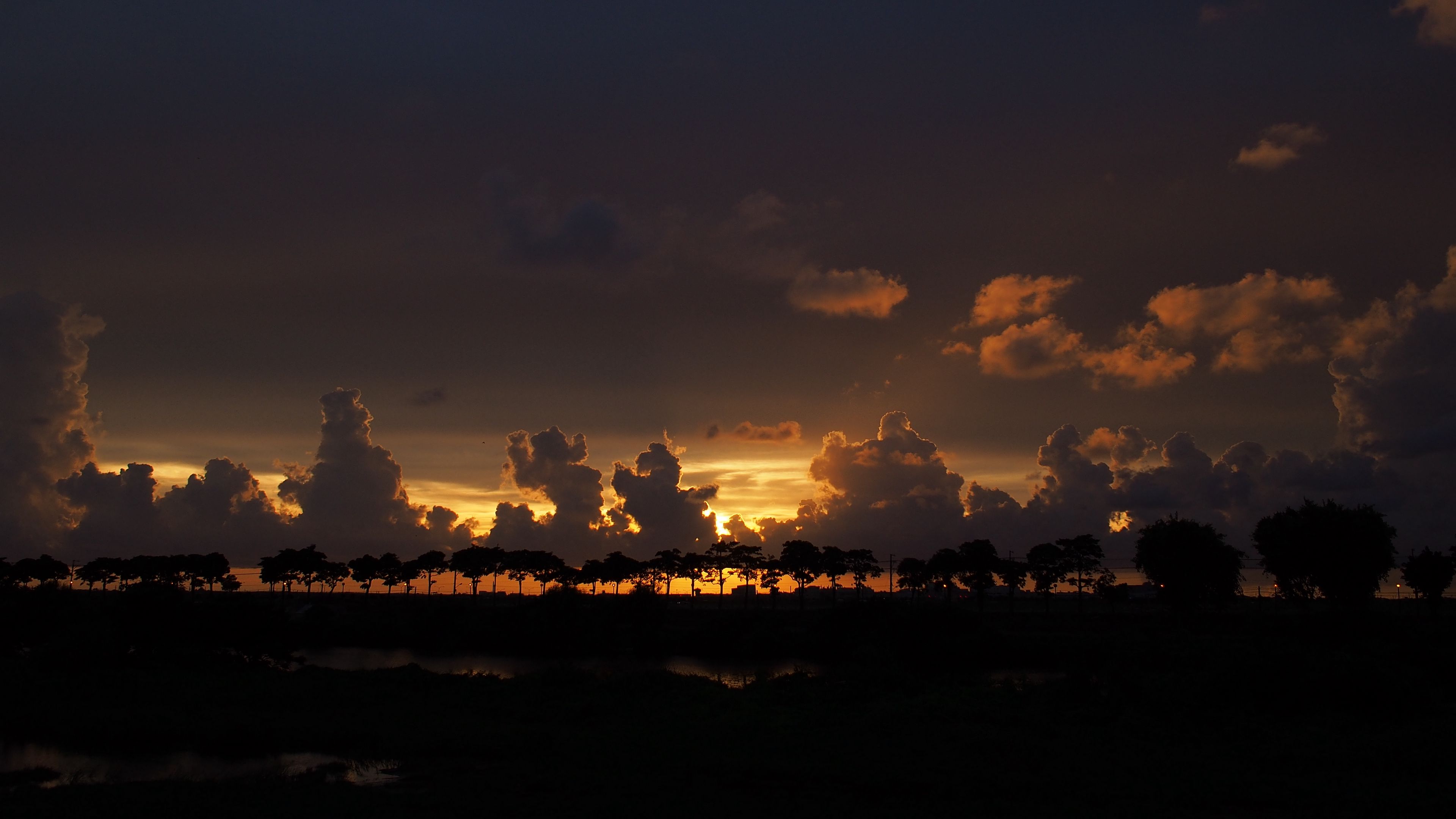clouds, sunset, horizon, trees, sky, night, dark, 4k, HD Wallpaper