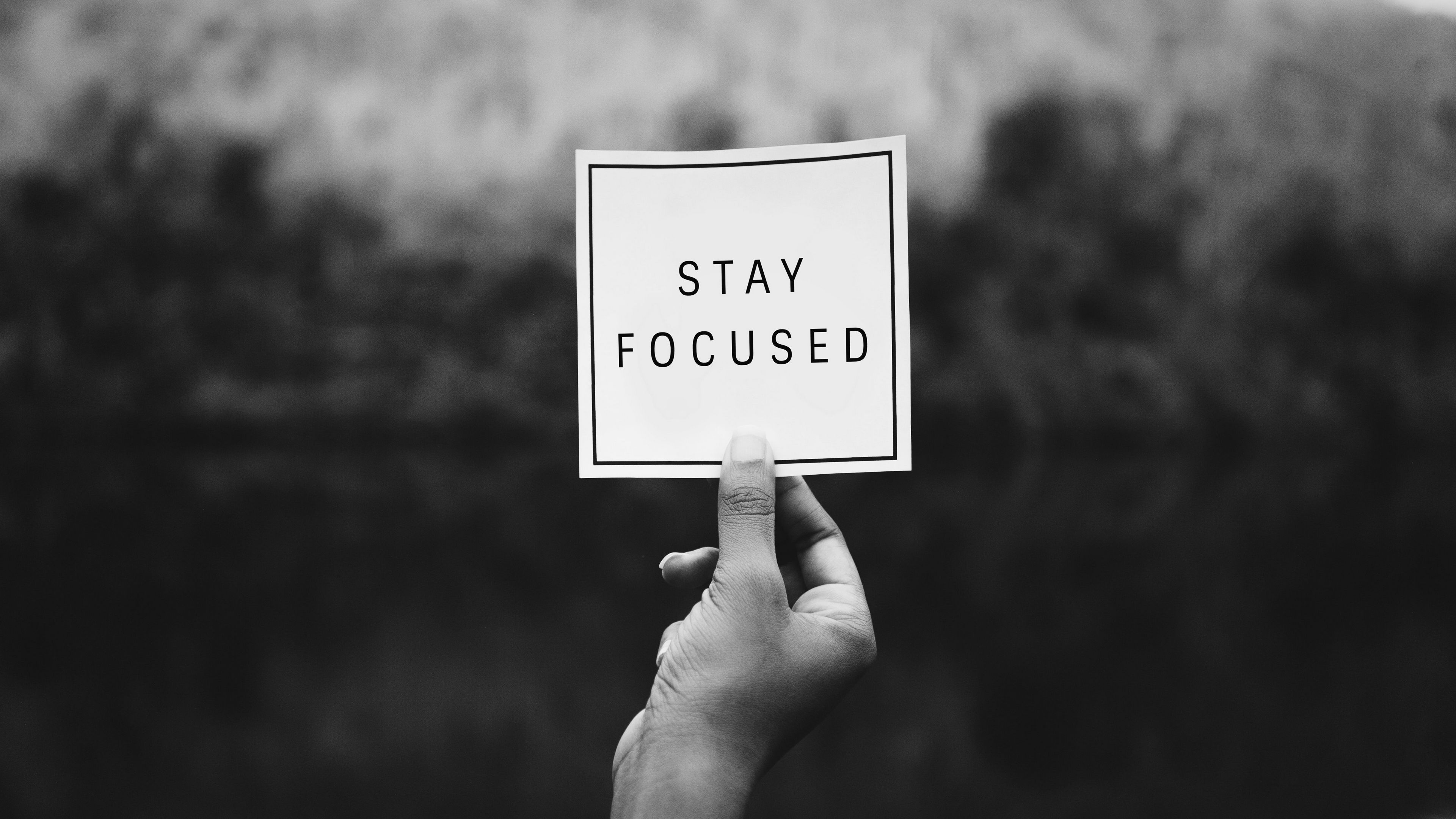 focus, inscription, hand, bw, 4k, HD Wallpaper