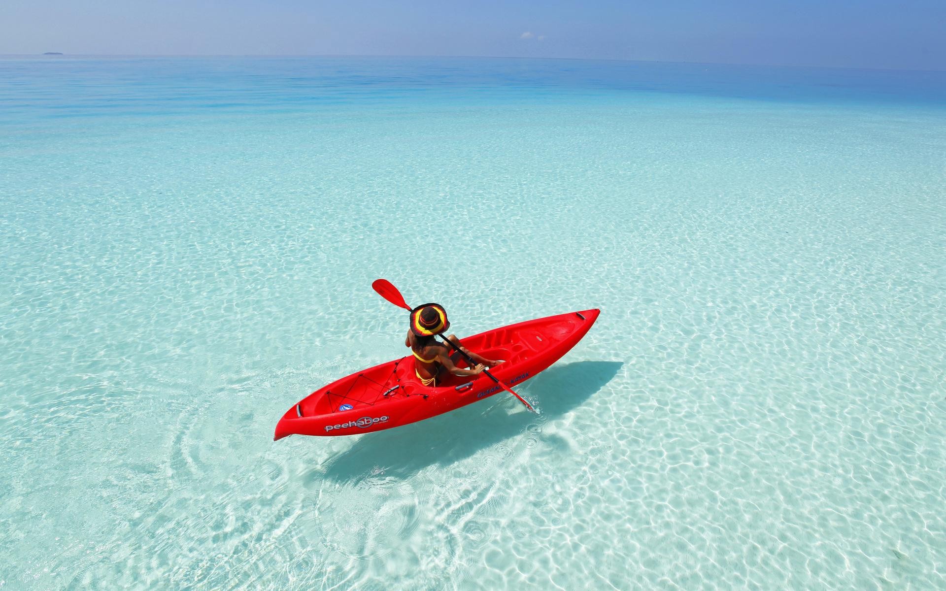 paddle, sea, nature, HD Wallpaper
