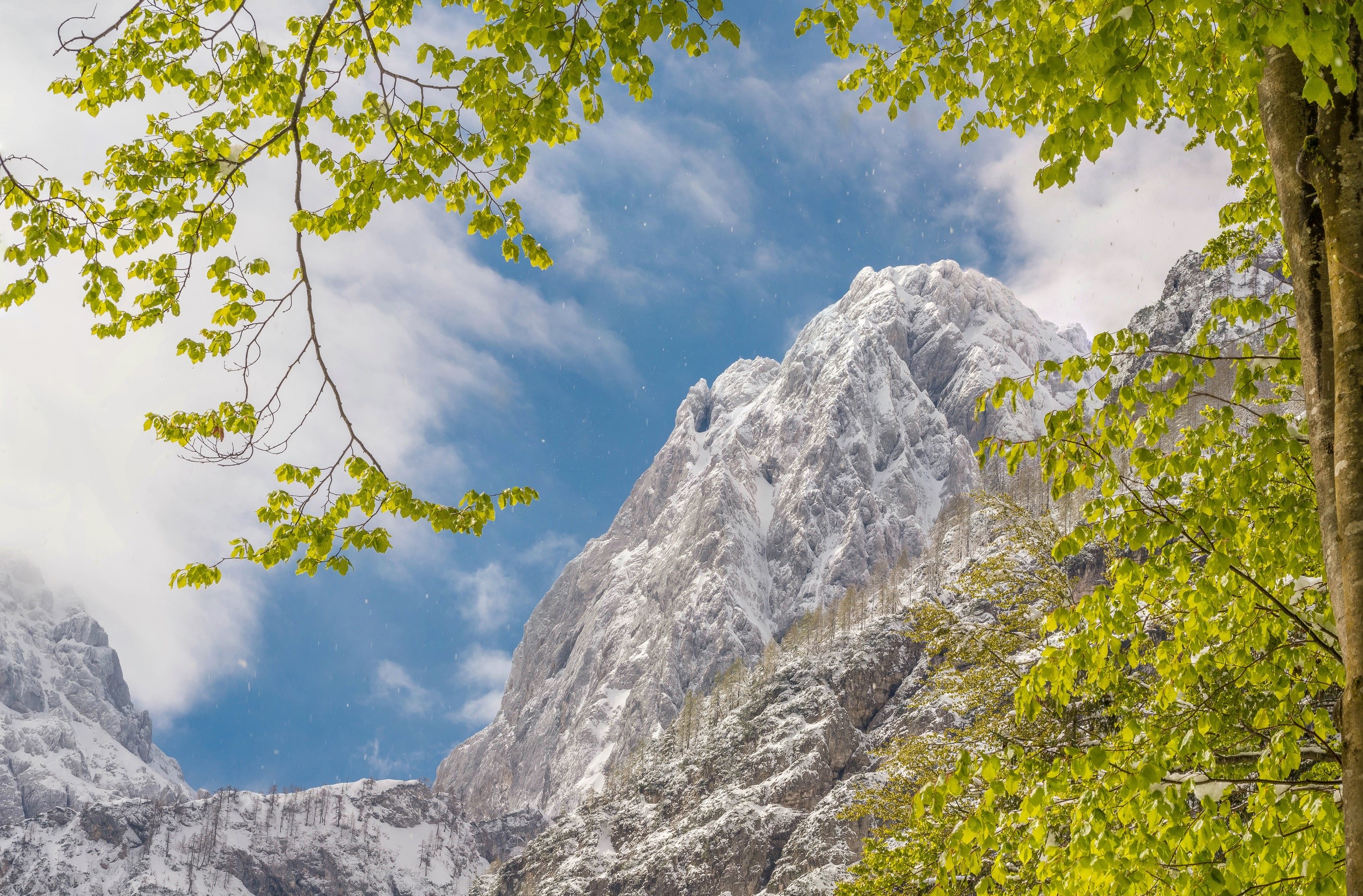 nature, plants, mountains, rock, HD Wallpaper