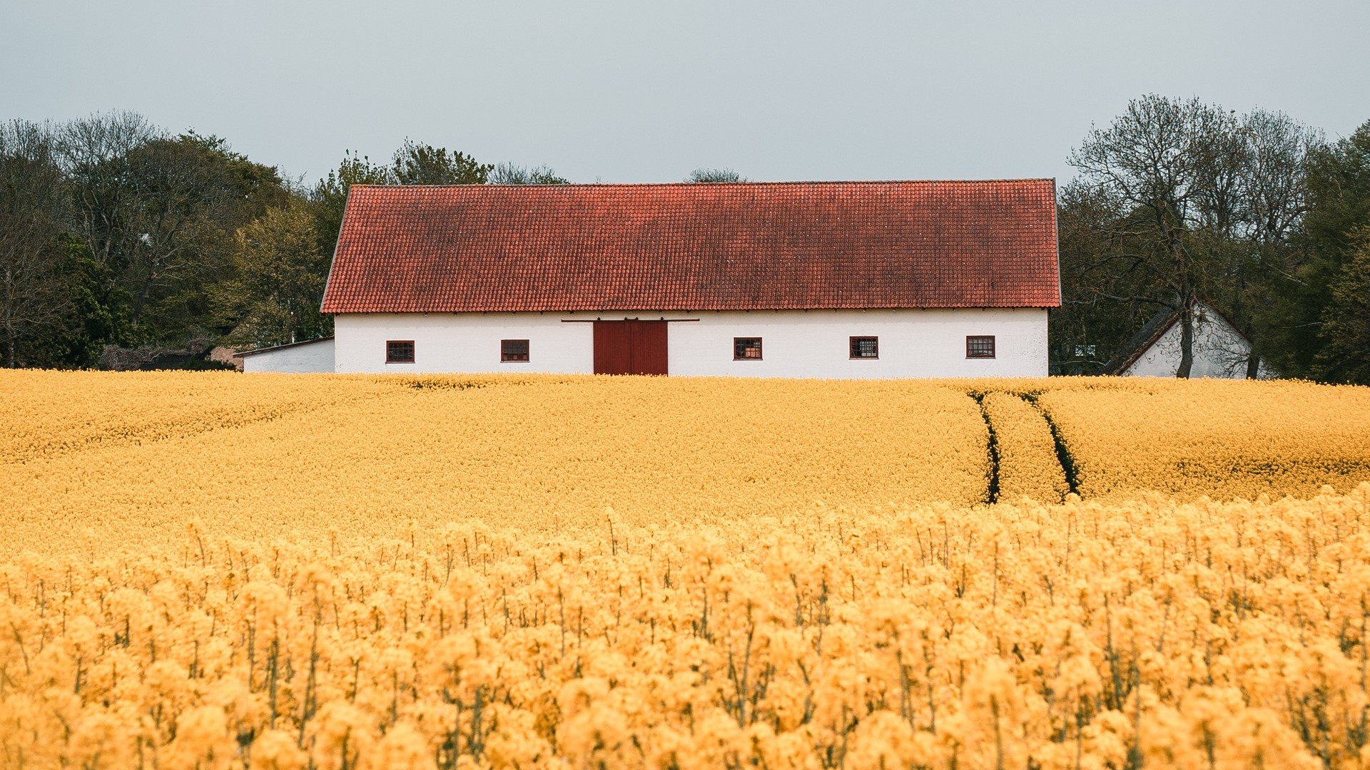 nature, house, field, building, trees, landscape, HD Wallpaper