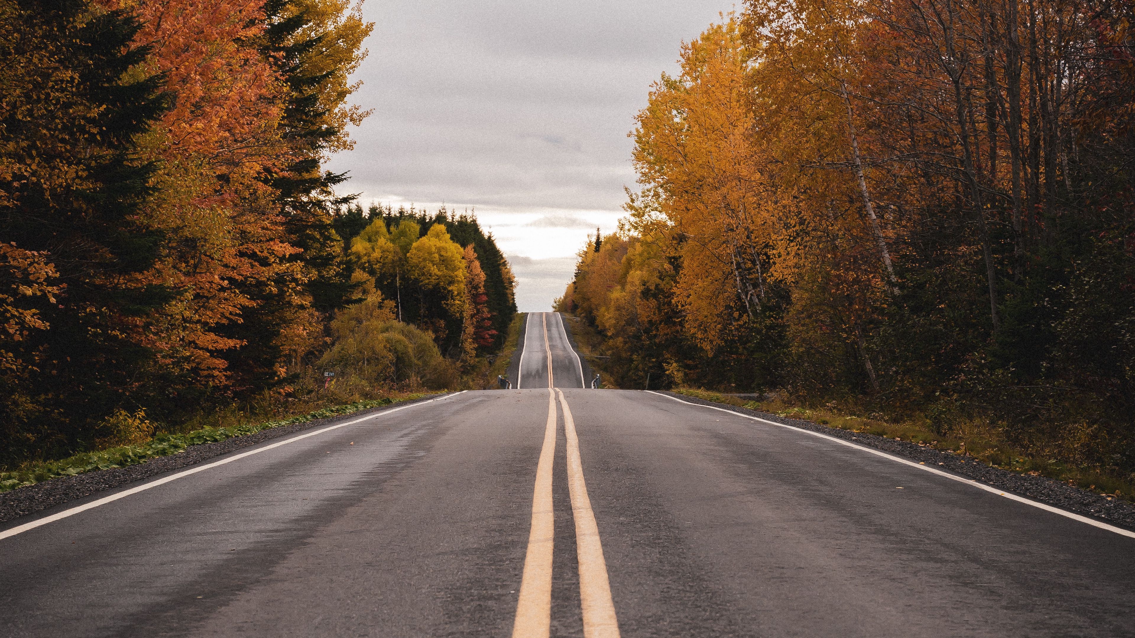 road, marking, autumn, 4k, HD Wallpaper