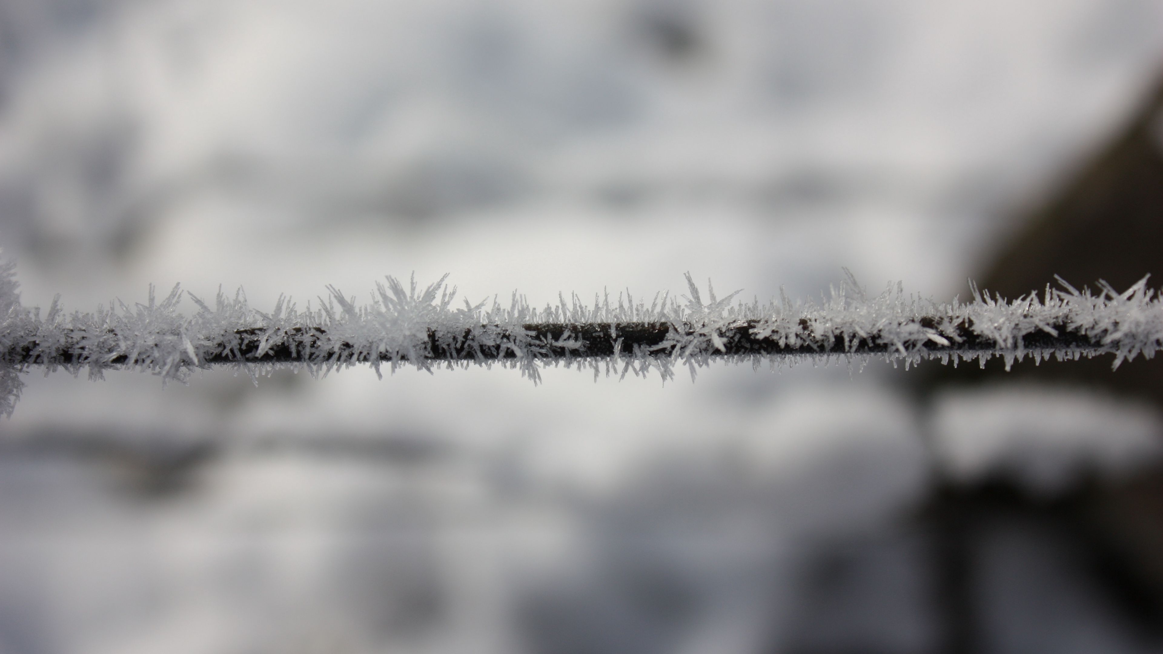 wire, hoarfrost, frost, crystals, metallic, freeze, macro, 4k, HD Wallpaper