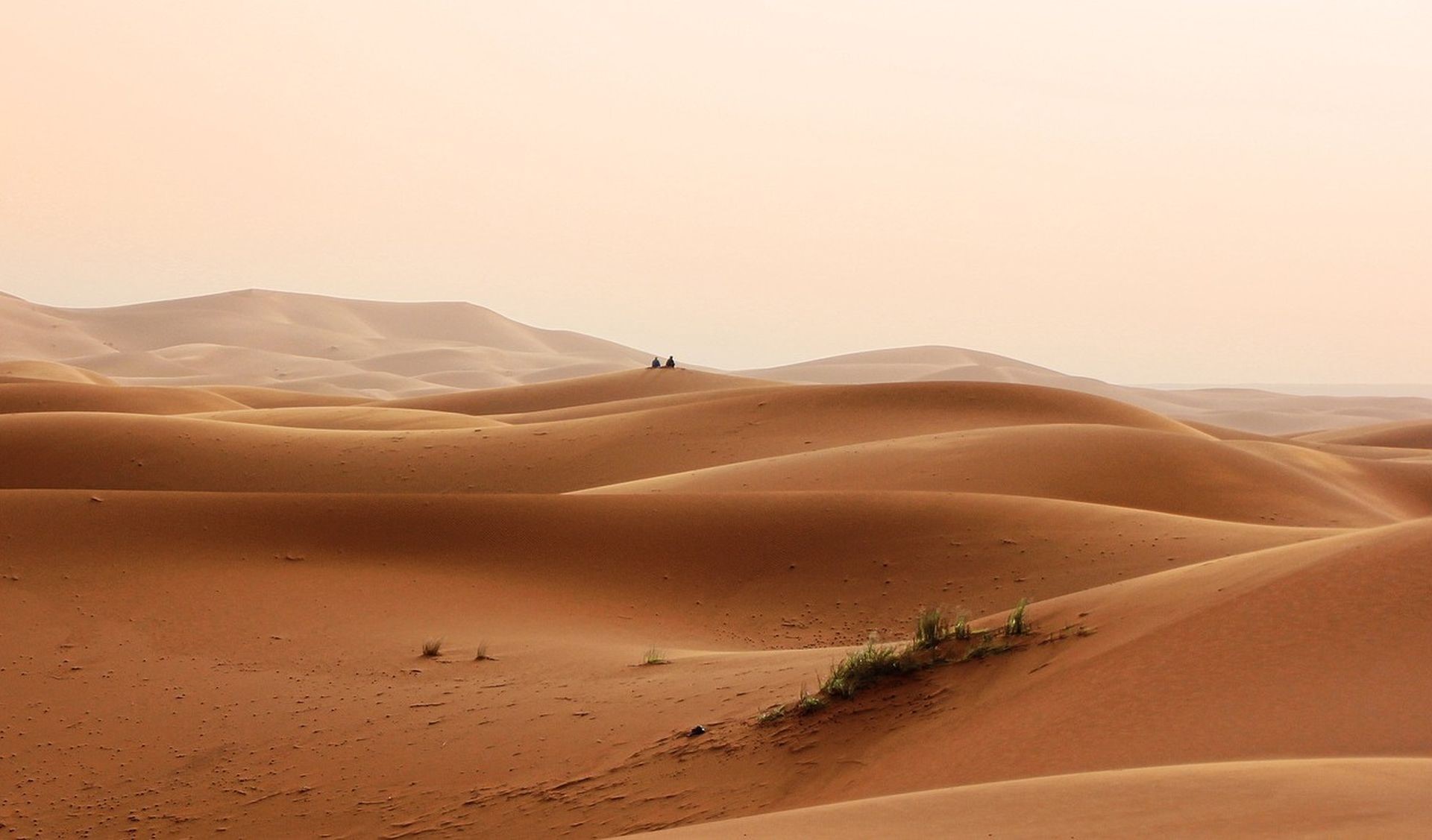desert, nature, sand, dunes, landscape, brown, HD Wallpaper