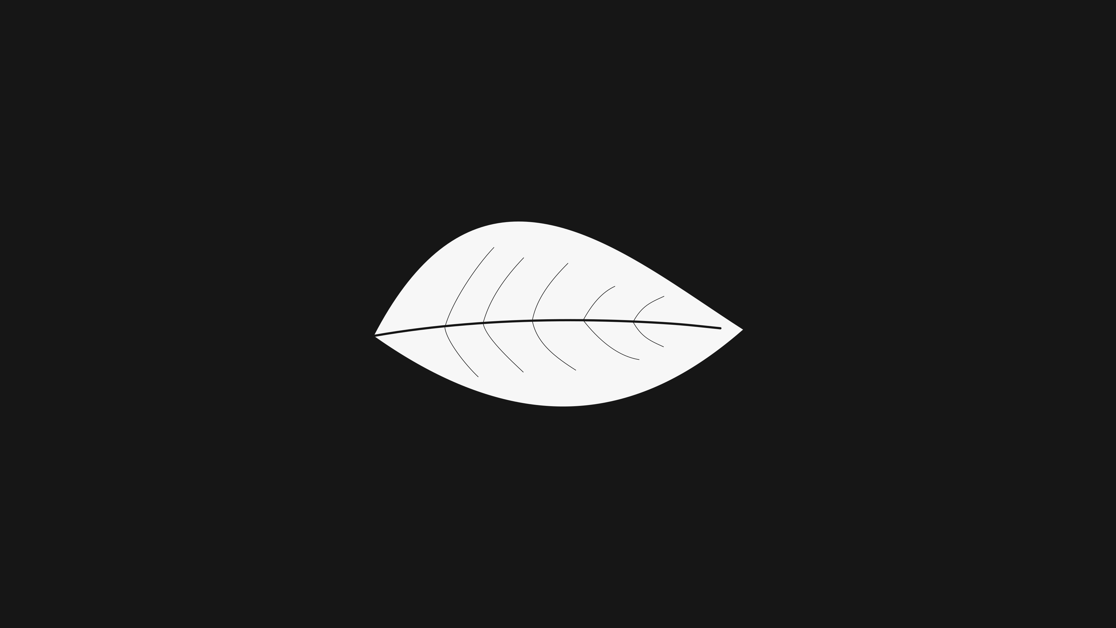 black background, maple leaf, plants, minimalism, simple background, HD Wallpaper