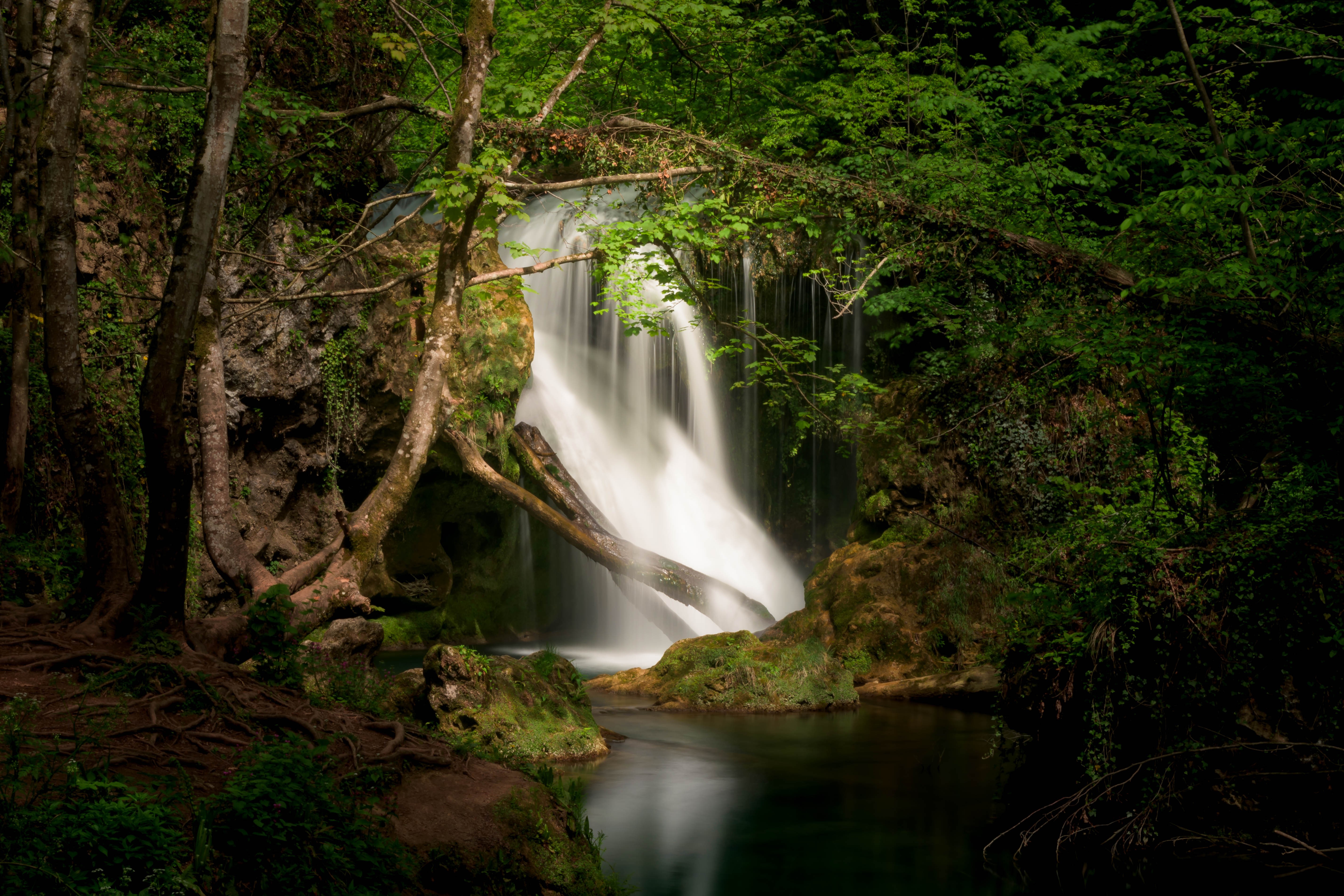 waterfall, nature, river, forest, HD Wallpaper