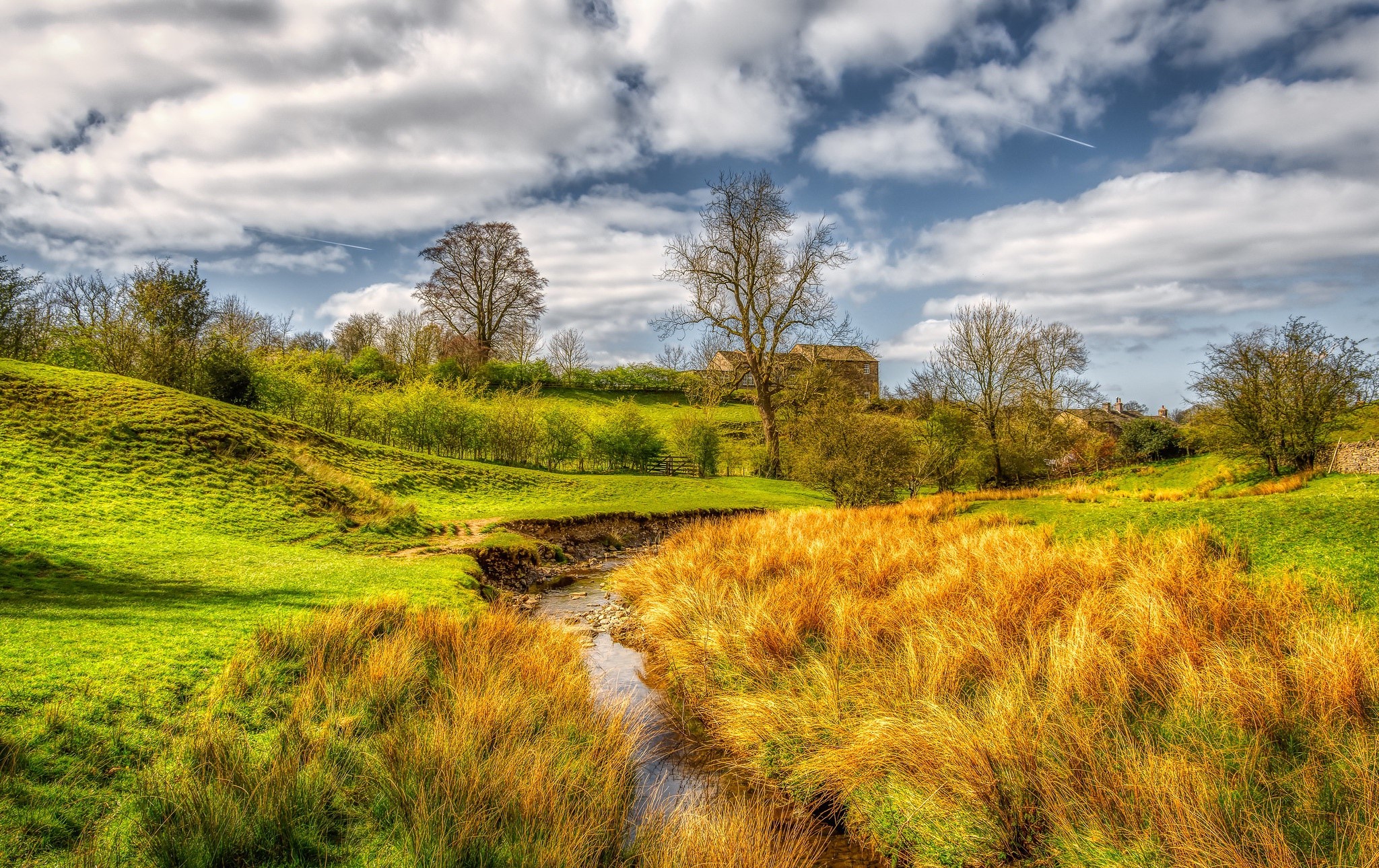 outdoors, clouds, plants, trees, gold, green, HD Wallpaper
