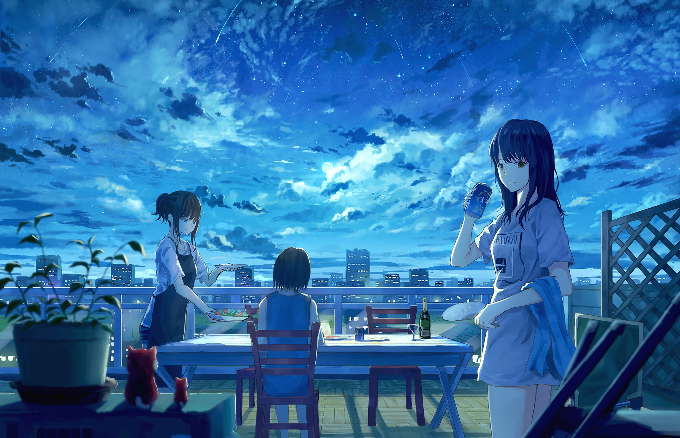 anime, anime girls, sky, original characters, city, starry night, HD Wallpaper
