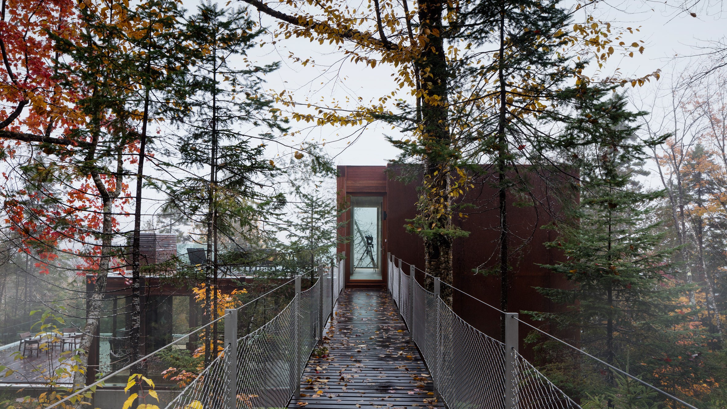 architecture, modern, fall, fallen leaves, HD Wallpaper