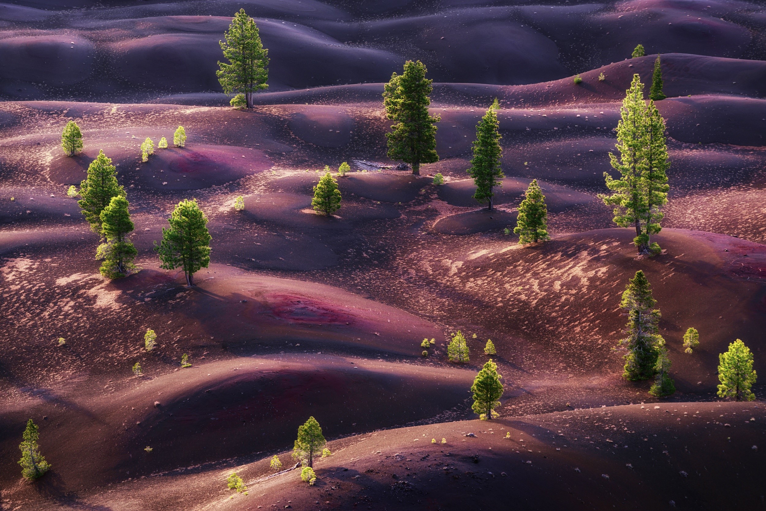 hills, nature, trees, landscape, HD Wallpaper