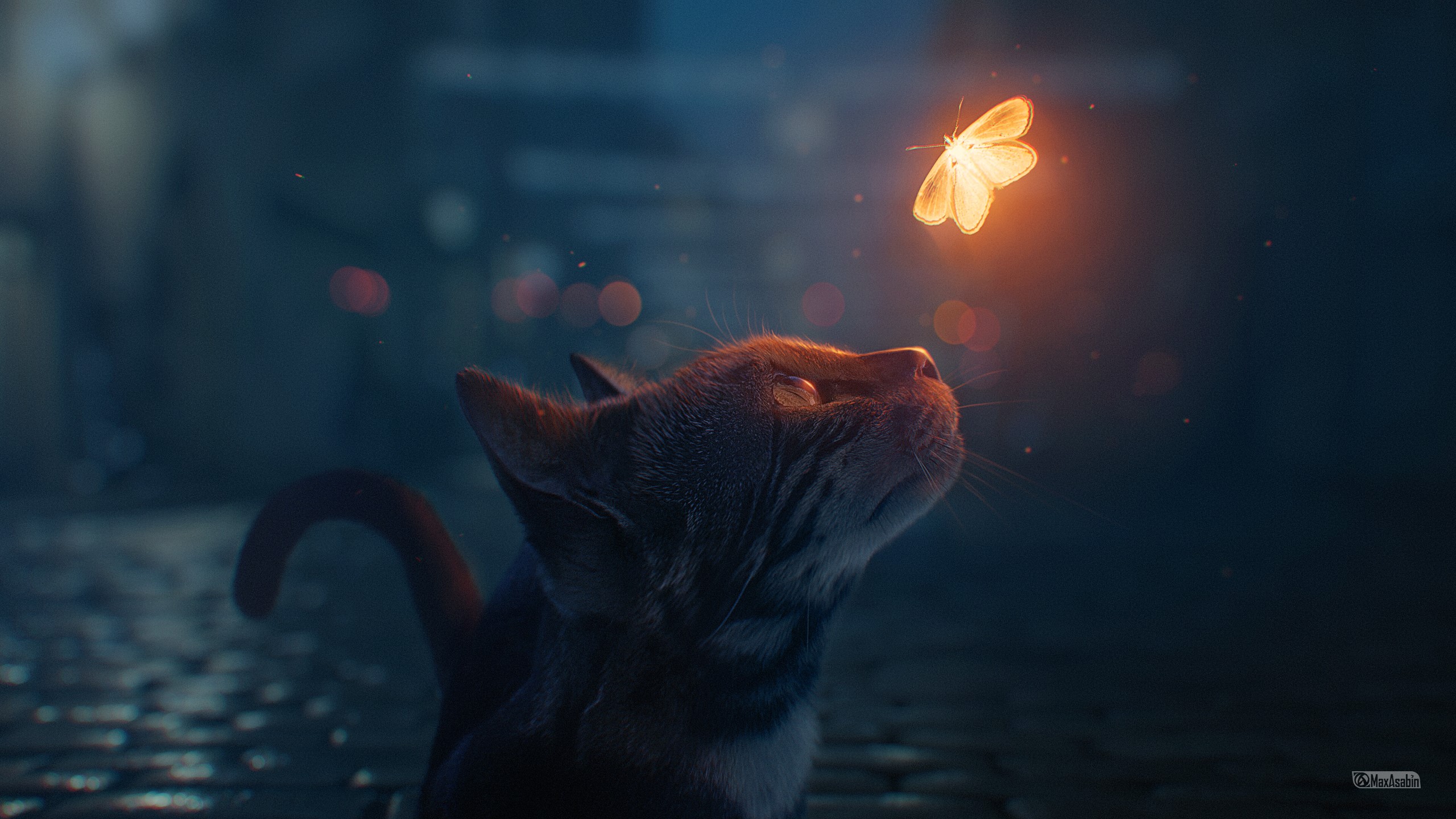 digital art, artwork, street, butterfly, dark, animals, fantasy art, Max Asabin, cats, HD Wallpaper