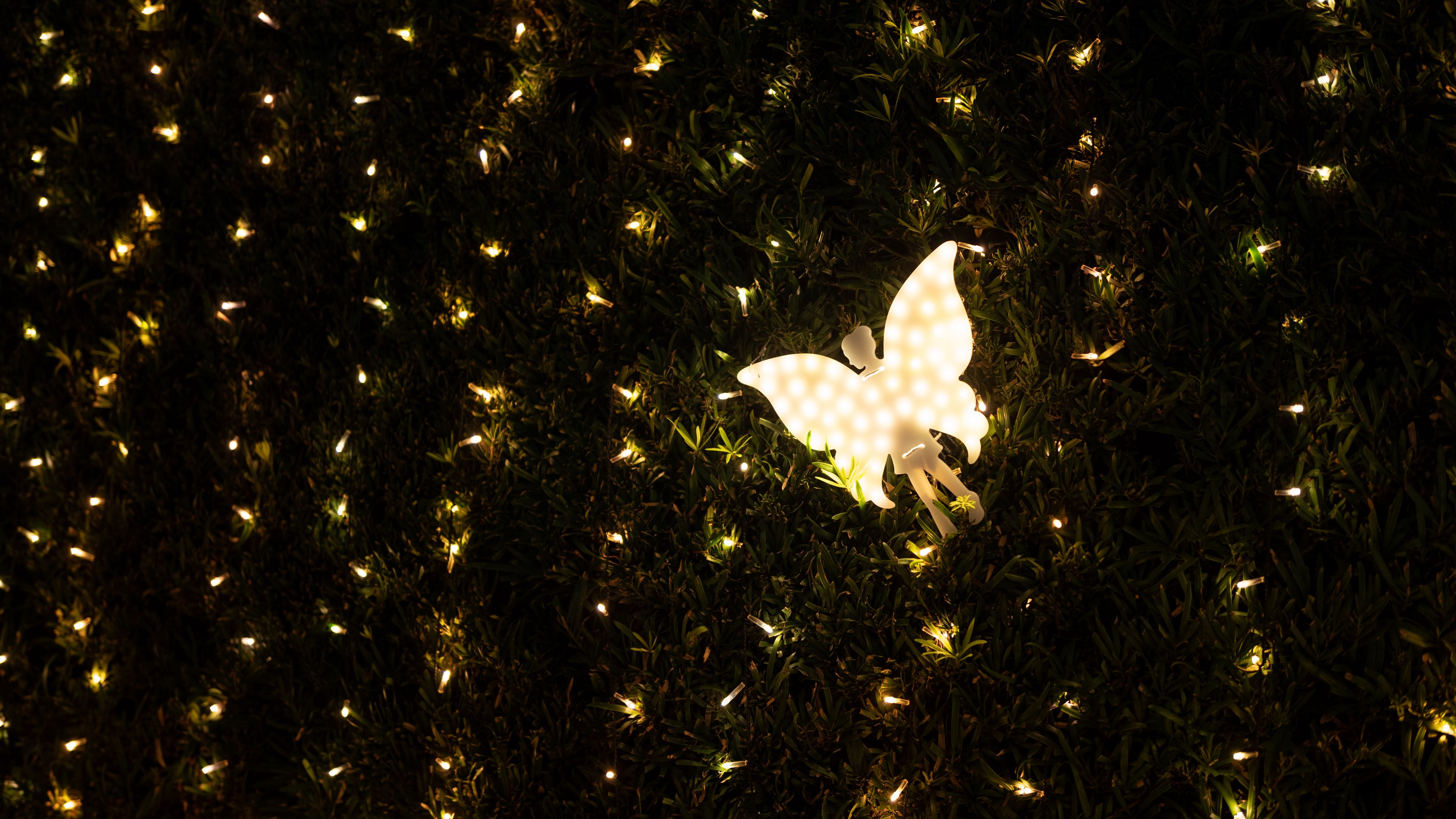 angel, garland, light, backlight, dark, decoration, 4k, HD Wallpaper