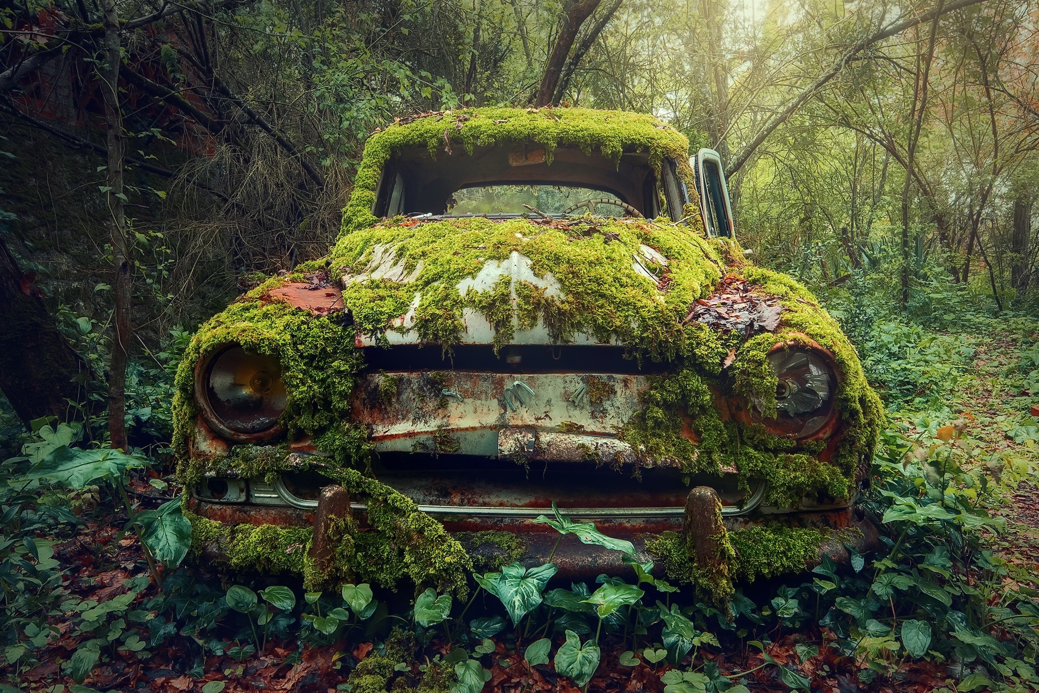 car, vehicle, wreck, plants, moss, green, HD Wallpaper