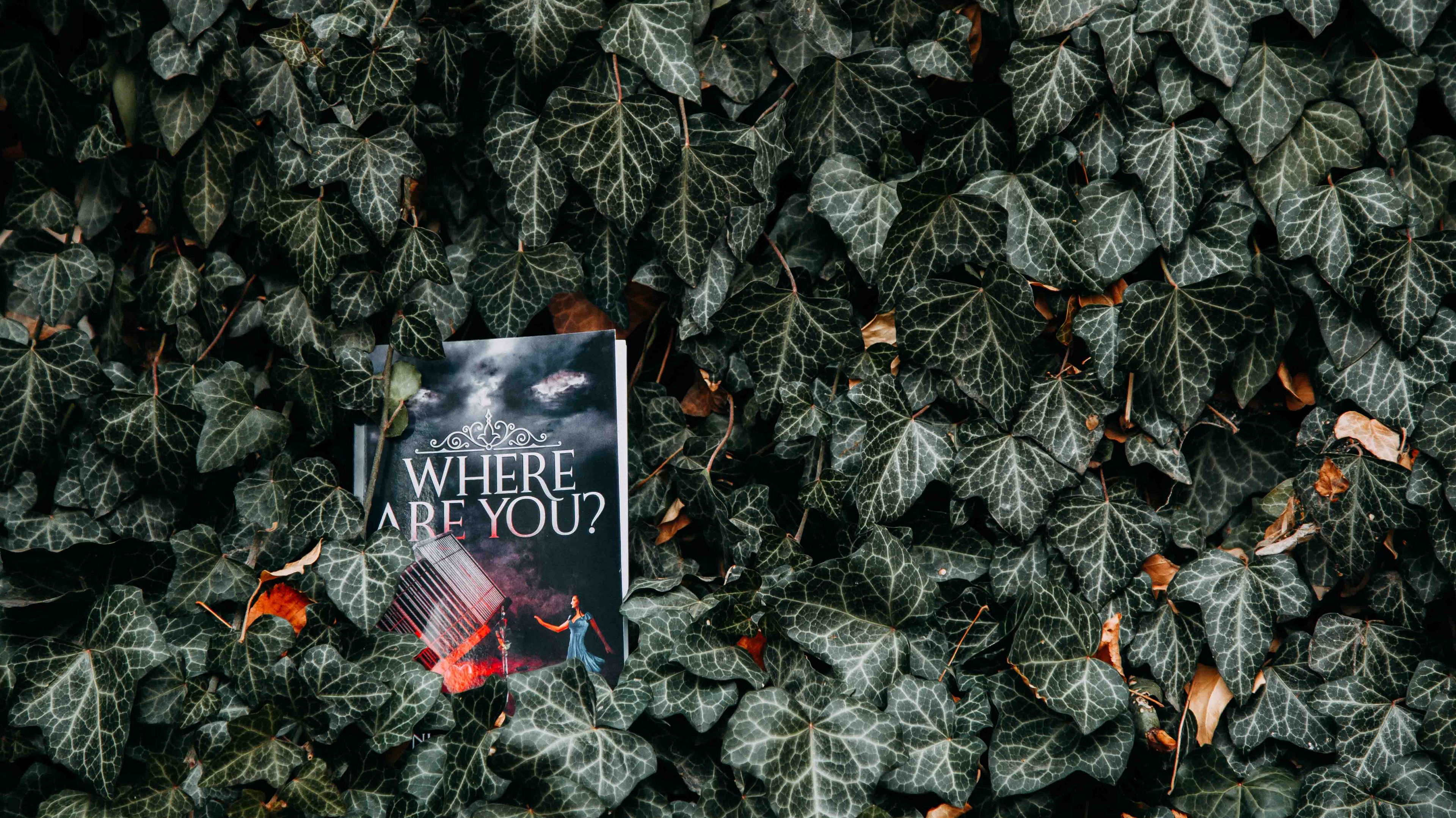 book, leaves, reading, inscription, bushes, 4k, HD Wallpaper
