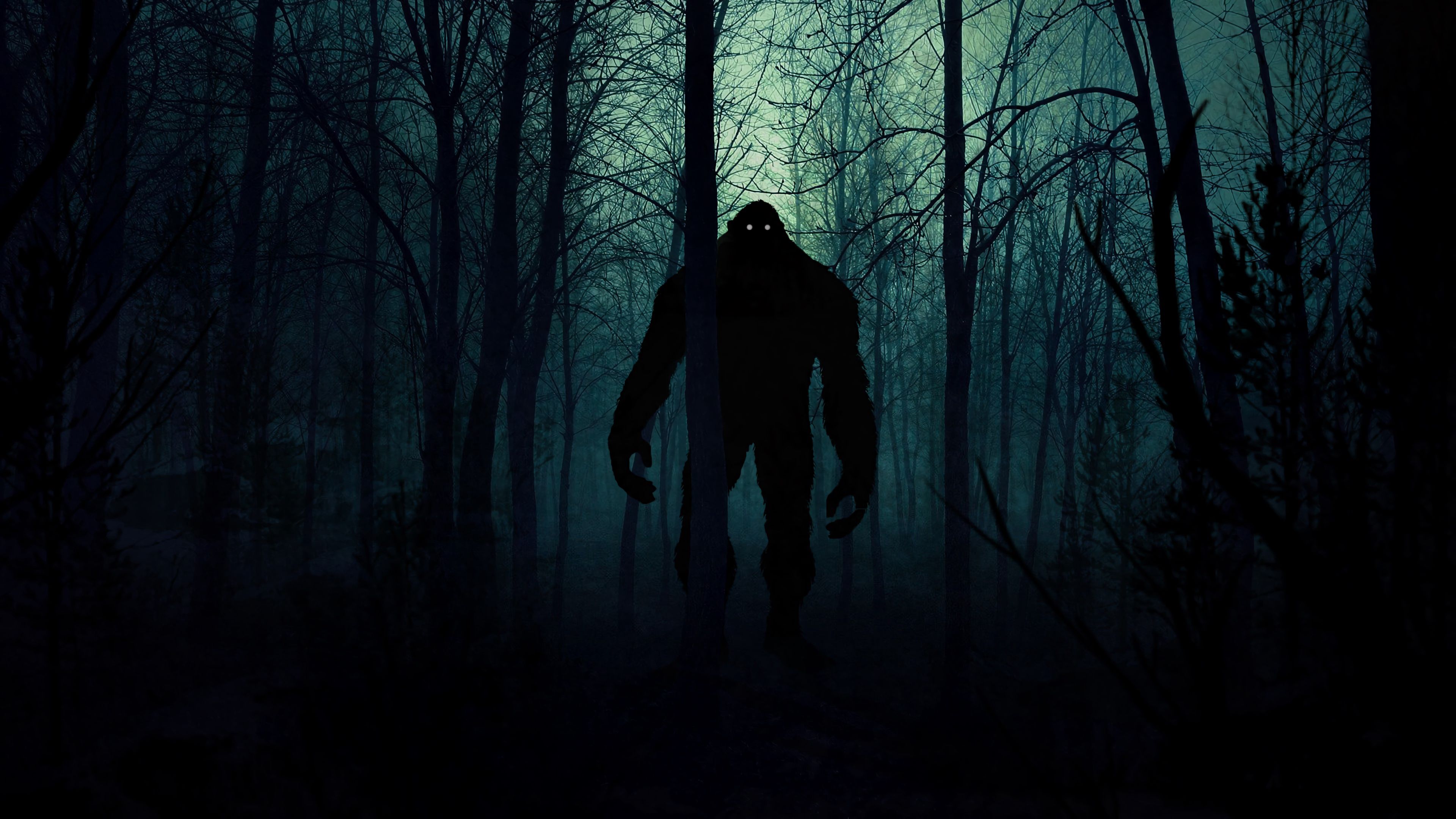 monster, silhouette, forest, night, art, 4k, HD Wallpaper