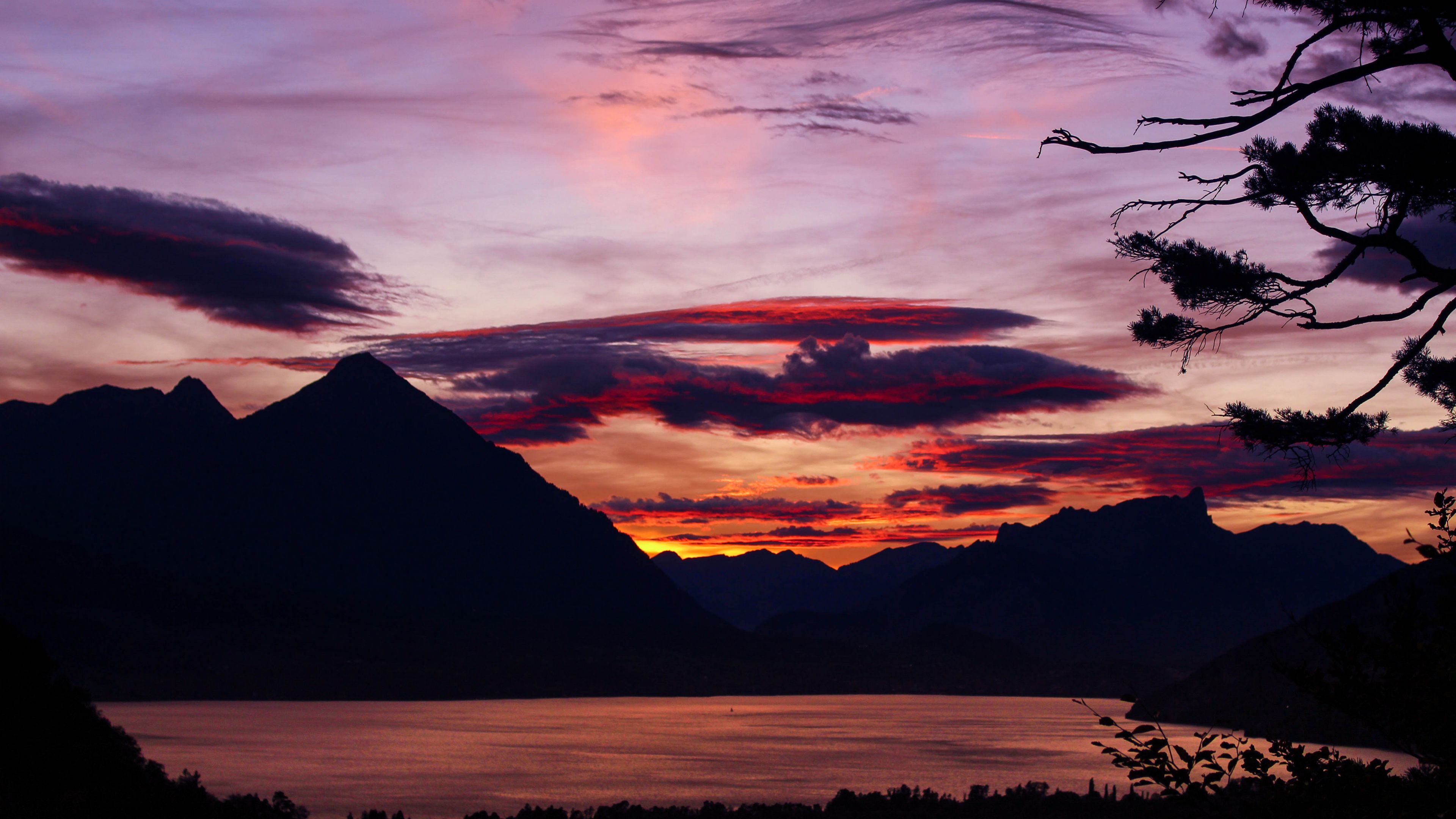 sunset, branches, sky, clouds, mountains, 4k, HD Wallpaper