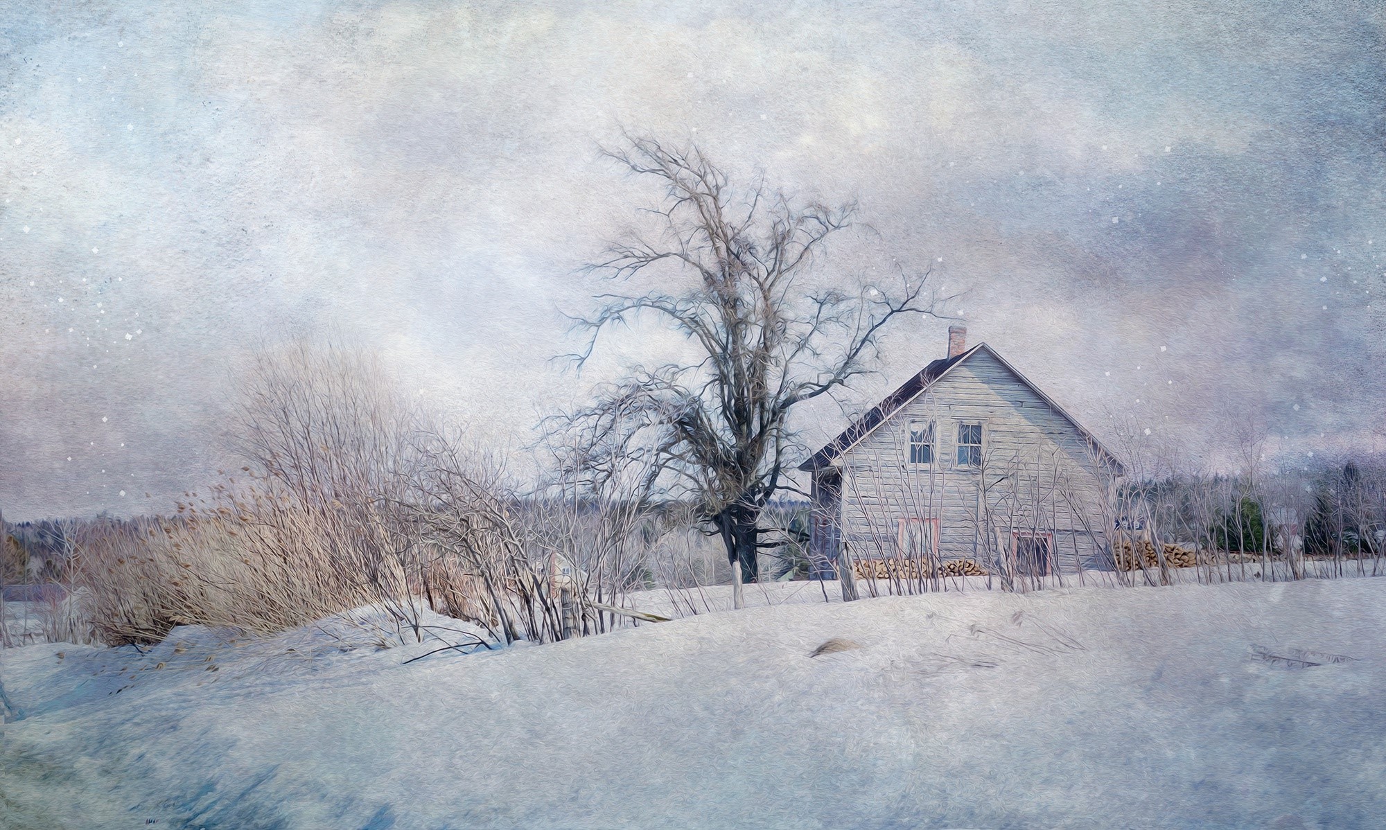 winter, house, artwork, snow, trees, white, HD Wallpaper