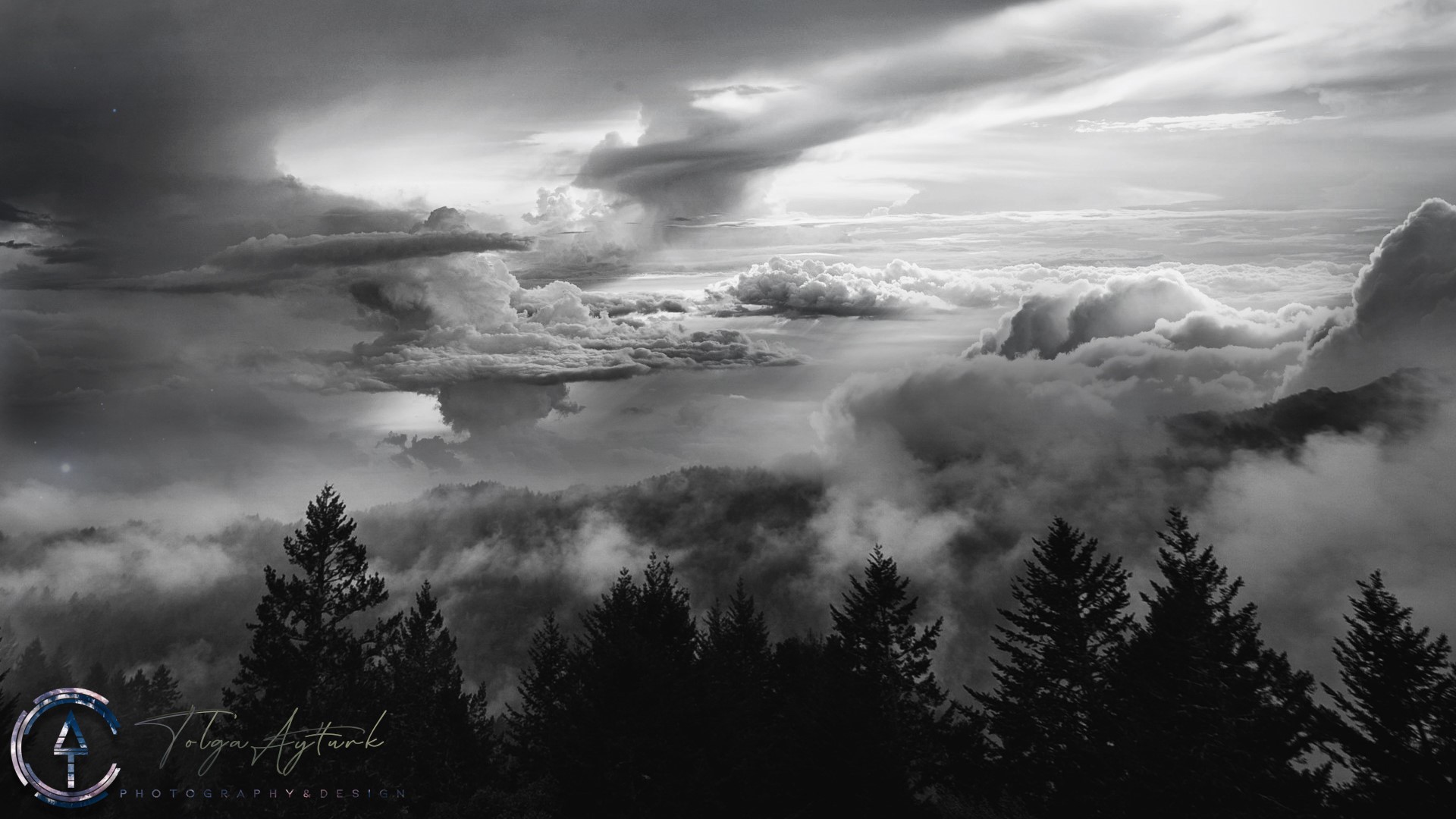 mountains, nature, landscape, trees, plants, monochrome, digital, photo manipulation, photomontage, HD Wallpaper