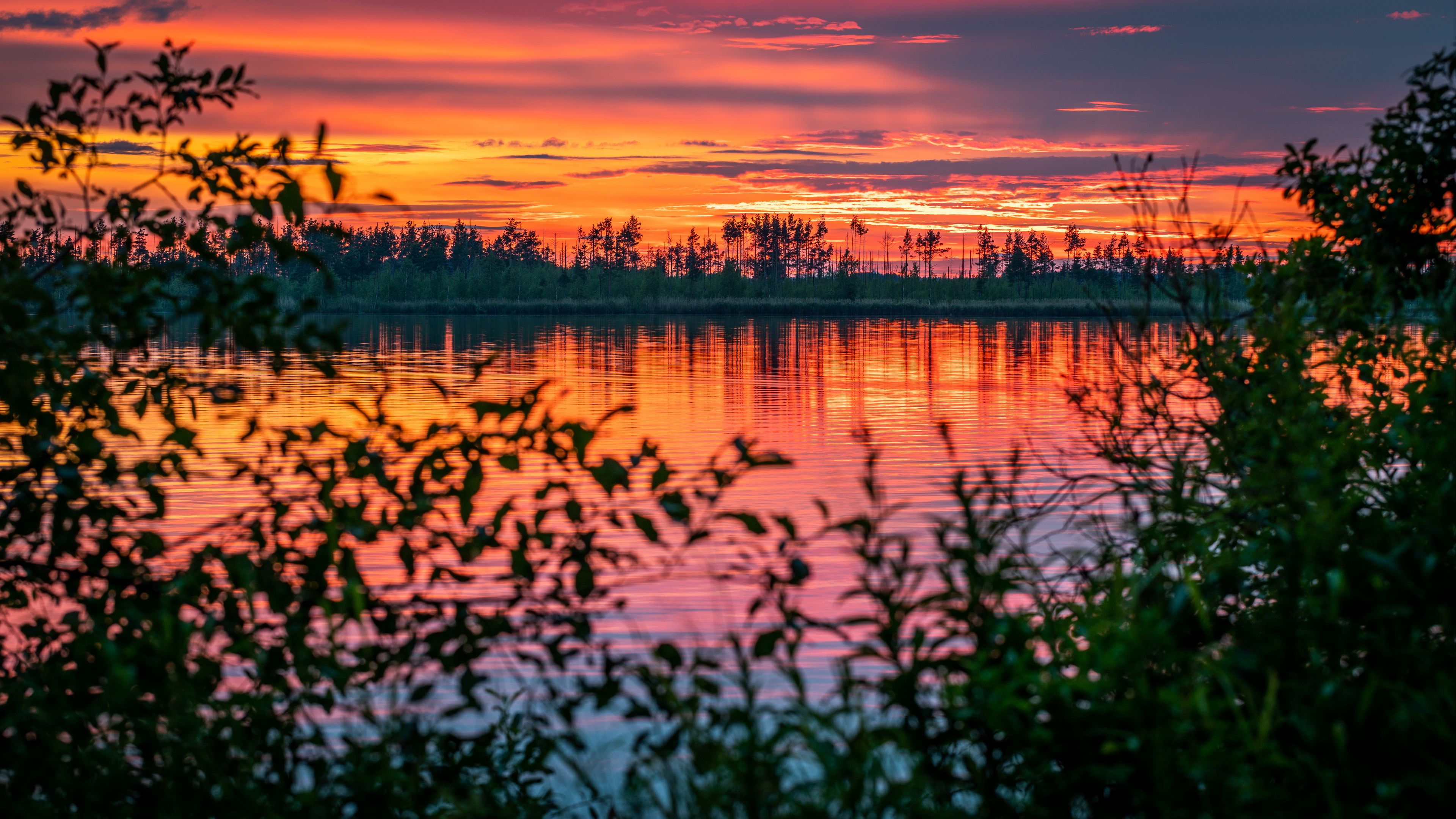 river, sunset, horizon, branches, leaves, blur, 4k, HD Wallpaper