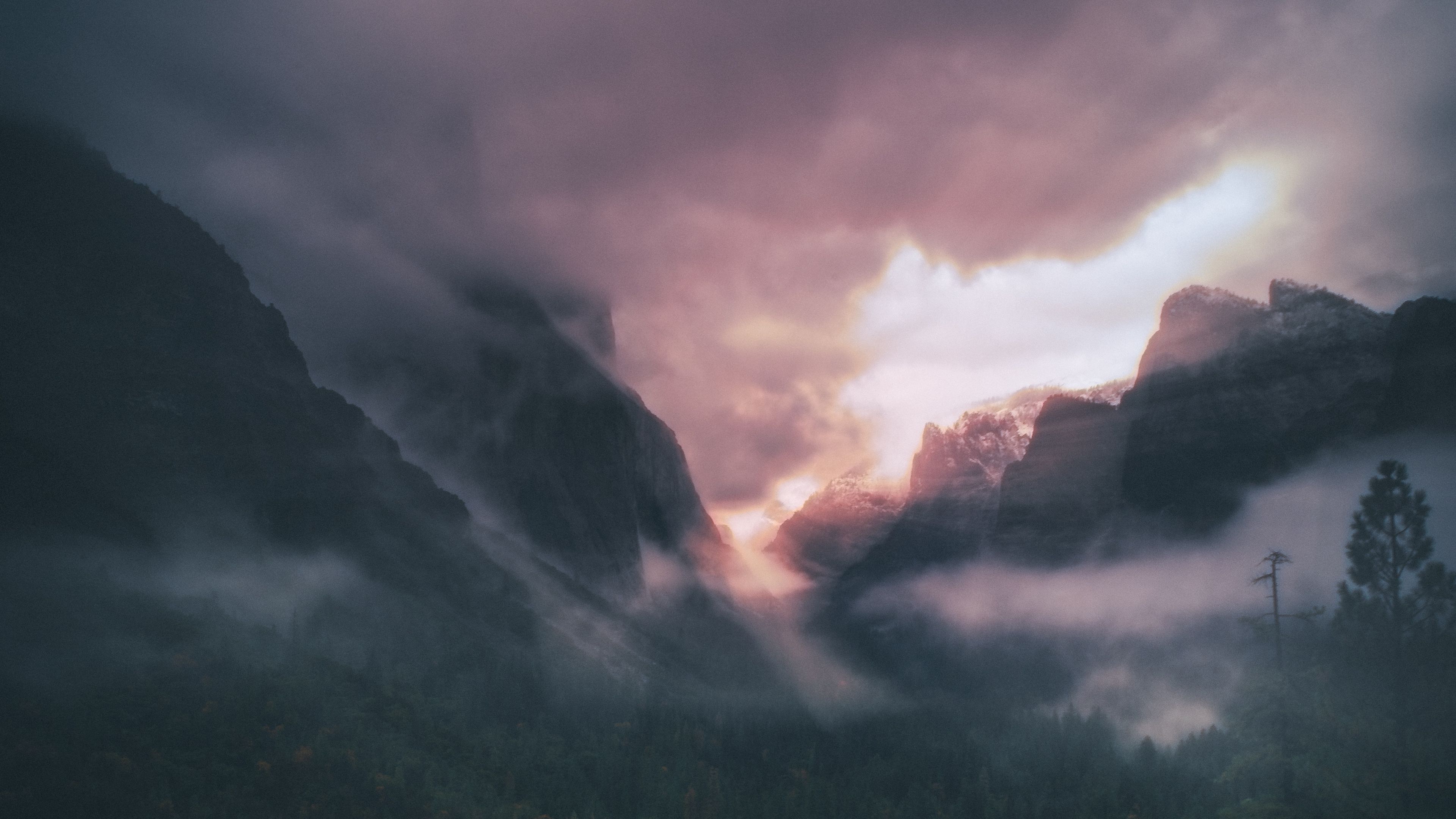 mountains, fog, trees, sky, clouds, aerial view, 4k, HD Wallpaper