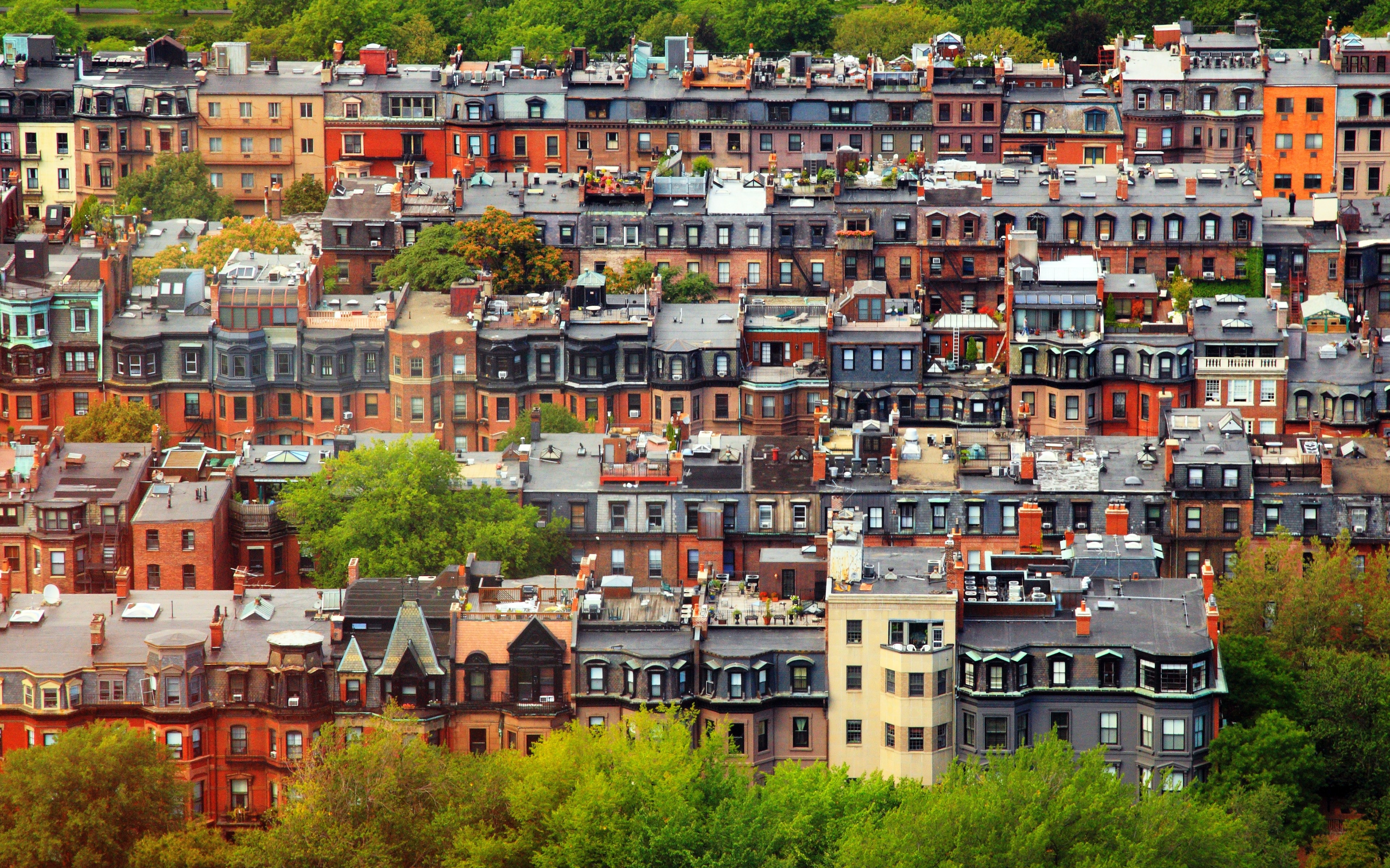 Boston, city, trees, house, old building, neighborhood, roof garden, rooftops, USA, Massachusetts, HD Wallpaper