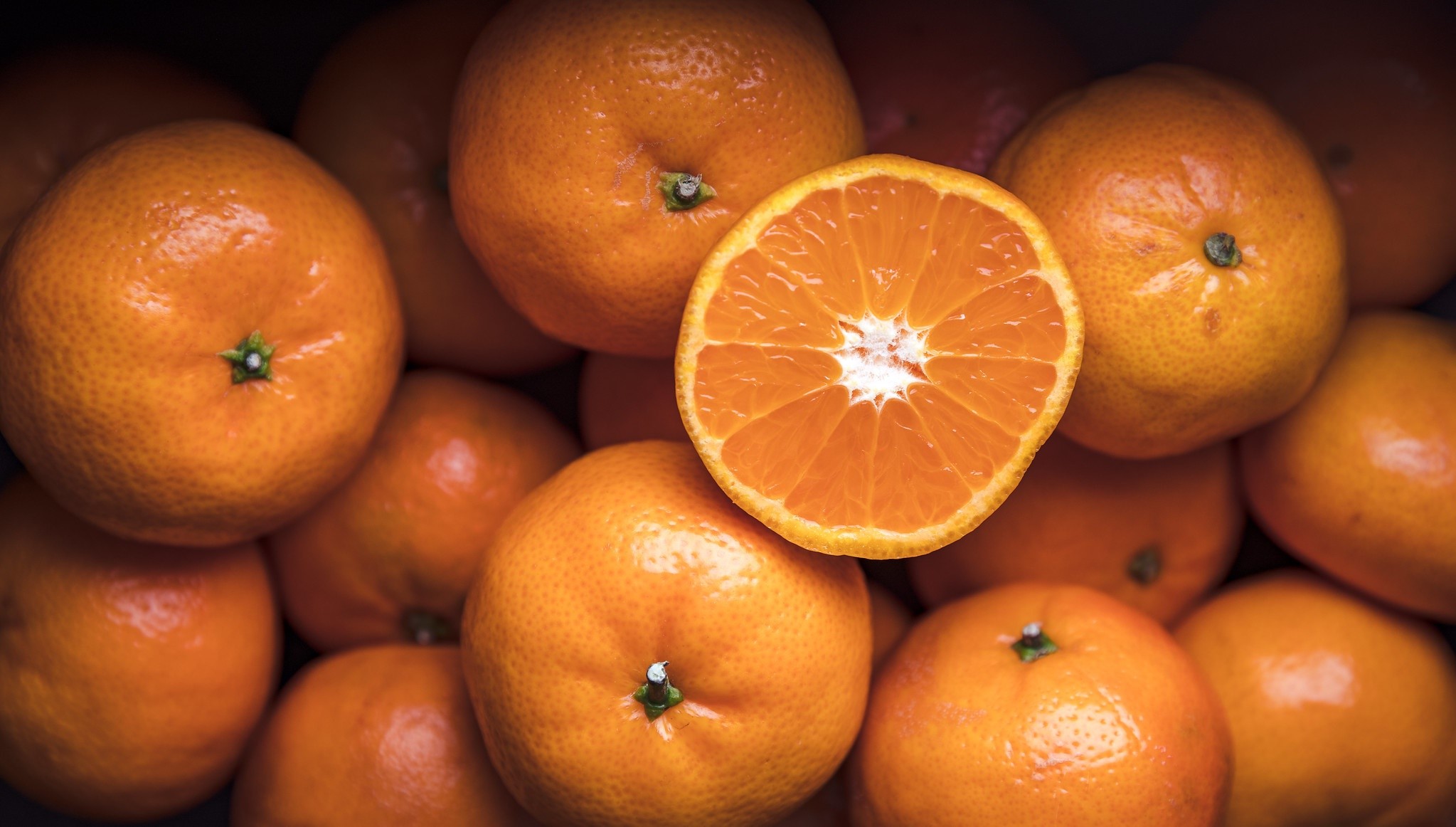 colorful, food, fruit, orange (fruit), orange, macro, HD Wallpaper