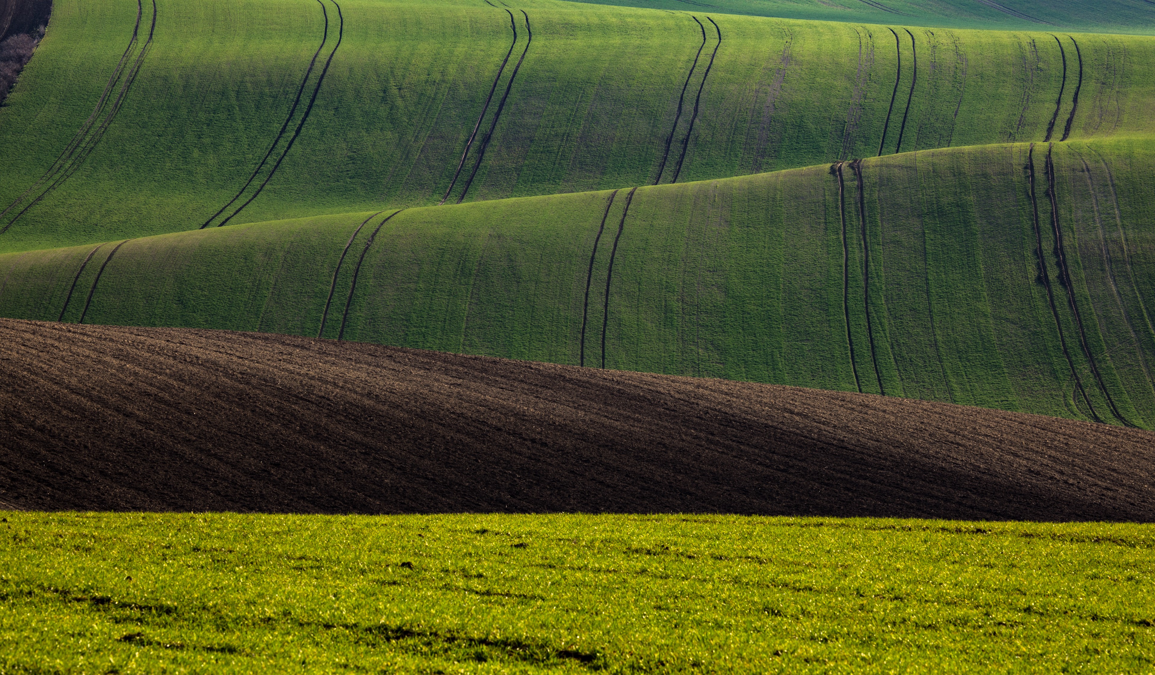 nature, landscape, plants, hill, field, HD Wallpaper